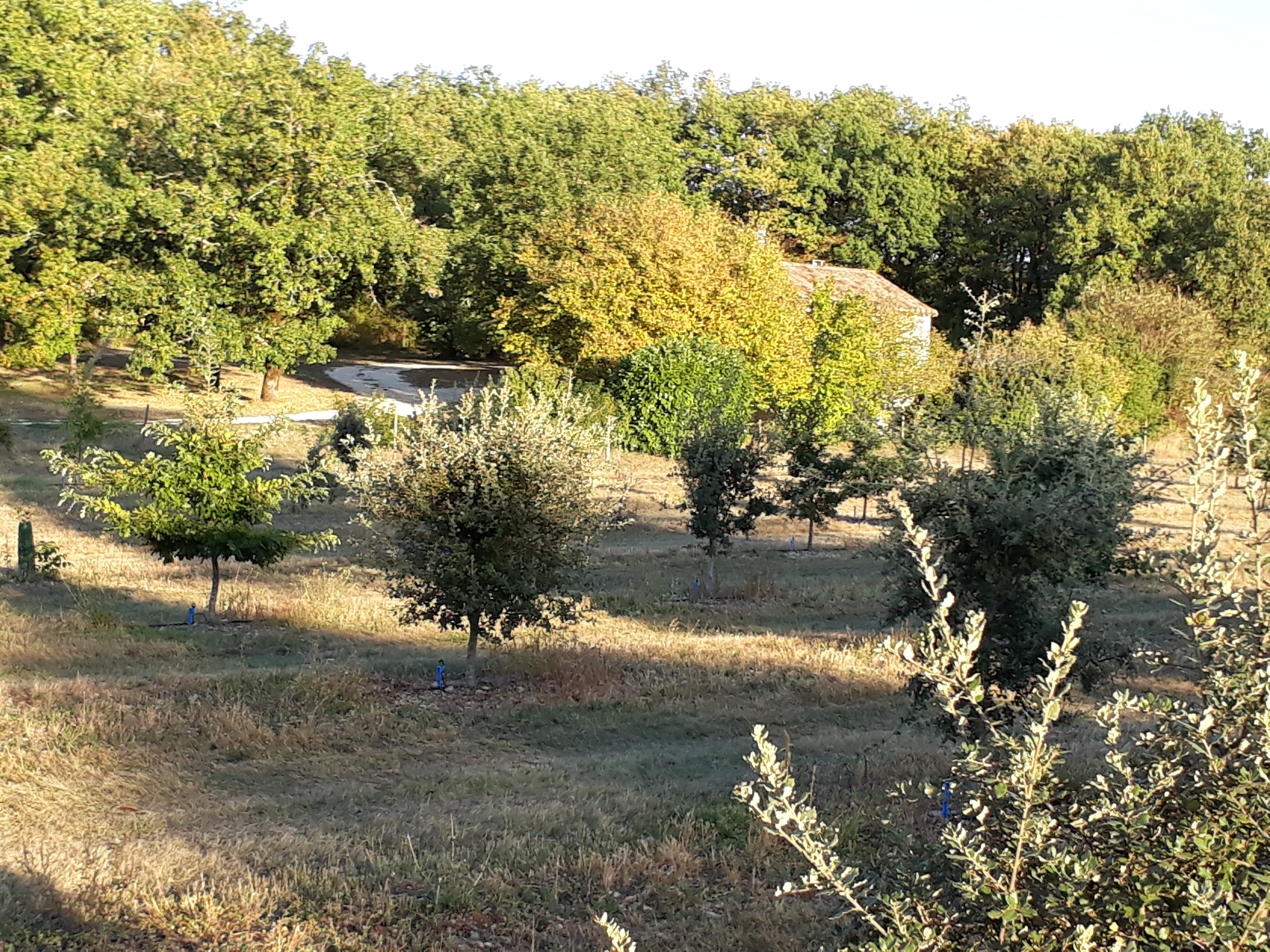 L'Oustalet, Carnac-Rouffiac - photo 2