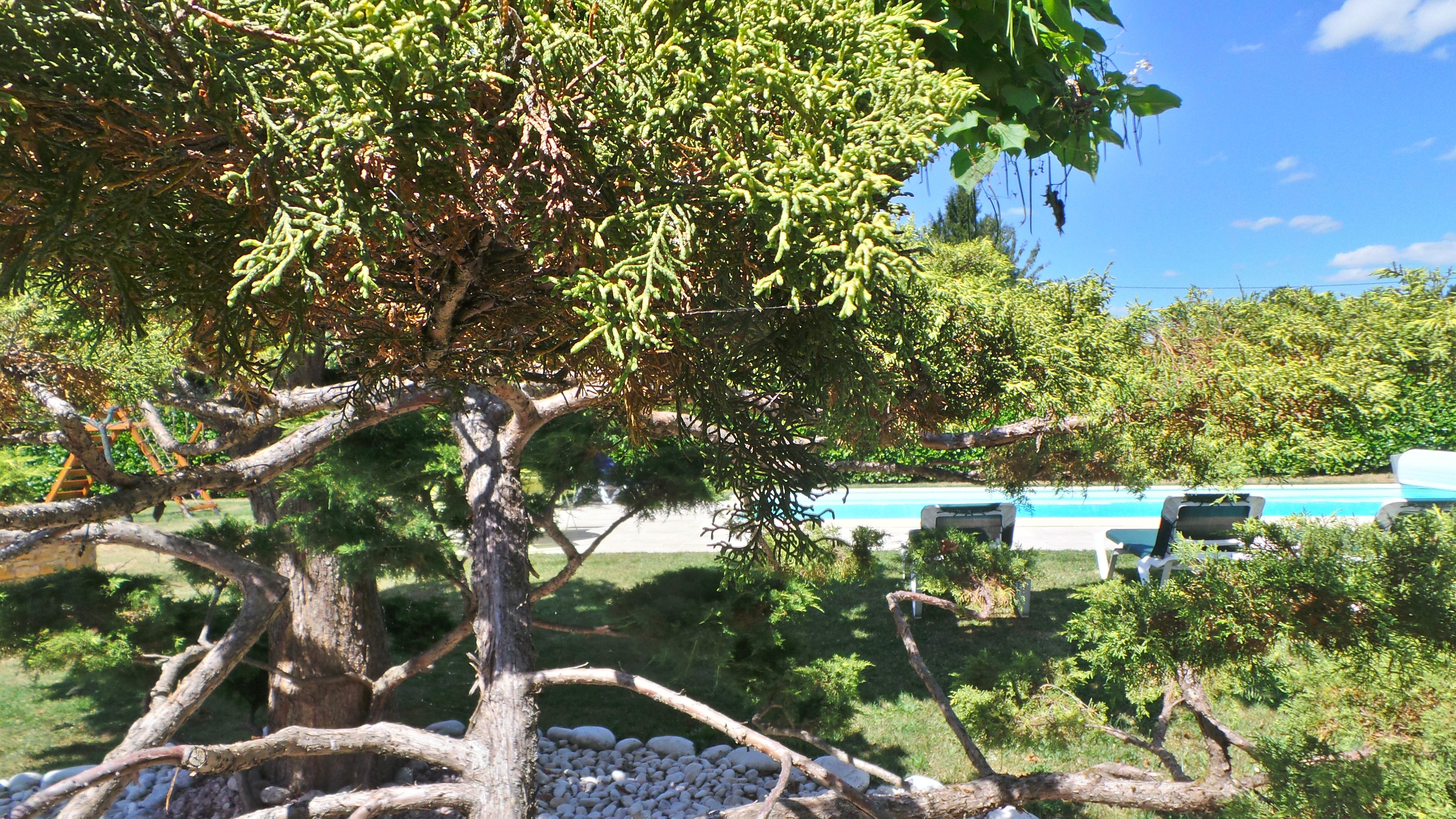 Les Vignals, Rouffilhac - photo 8