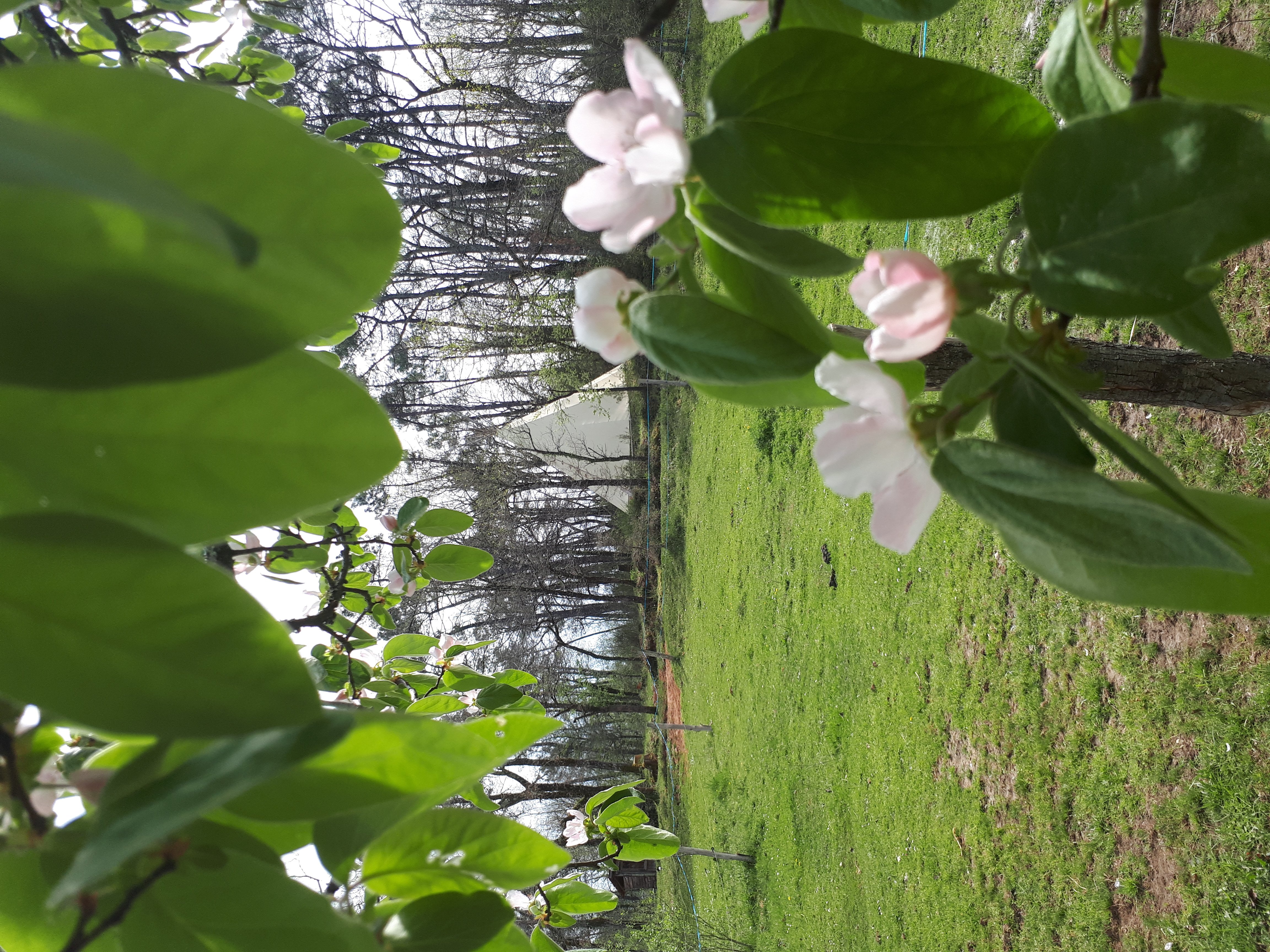 Camping à la ferme de La Fontaine, Montcléra - photo 10