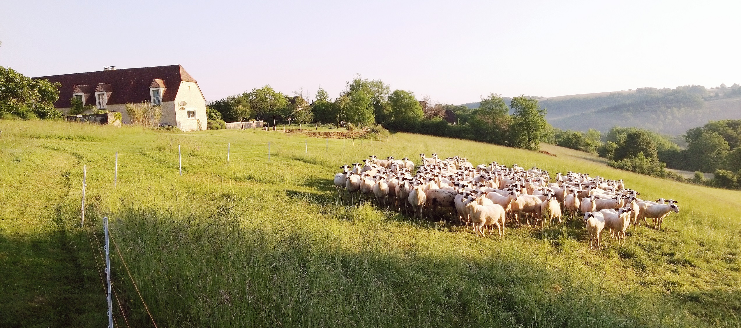 Les Poujades, Reilhaguet - photo 7