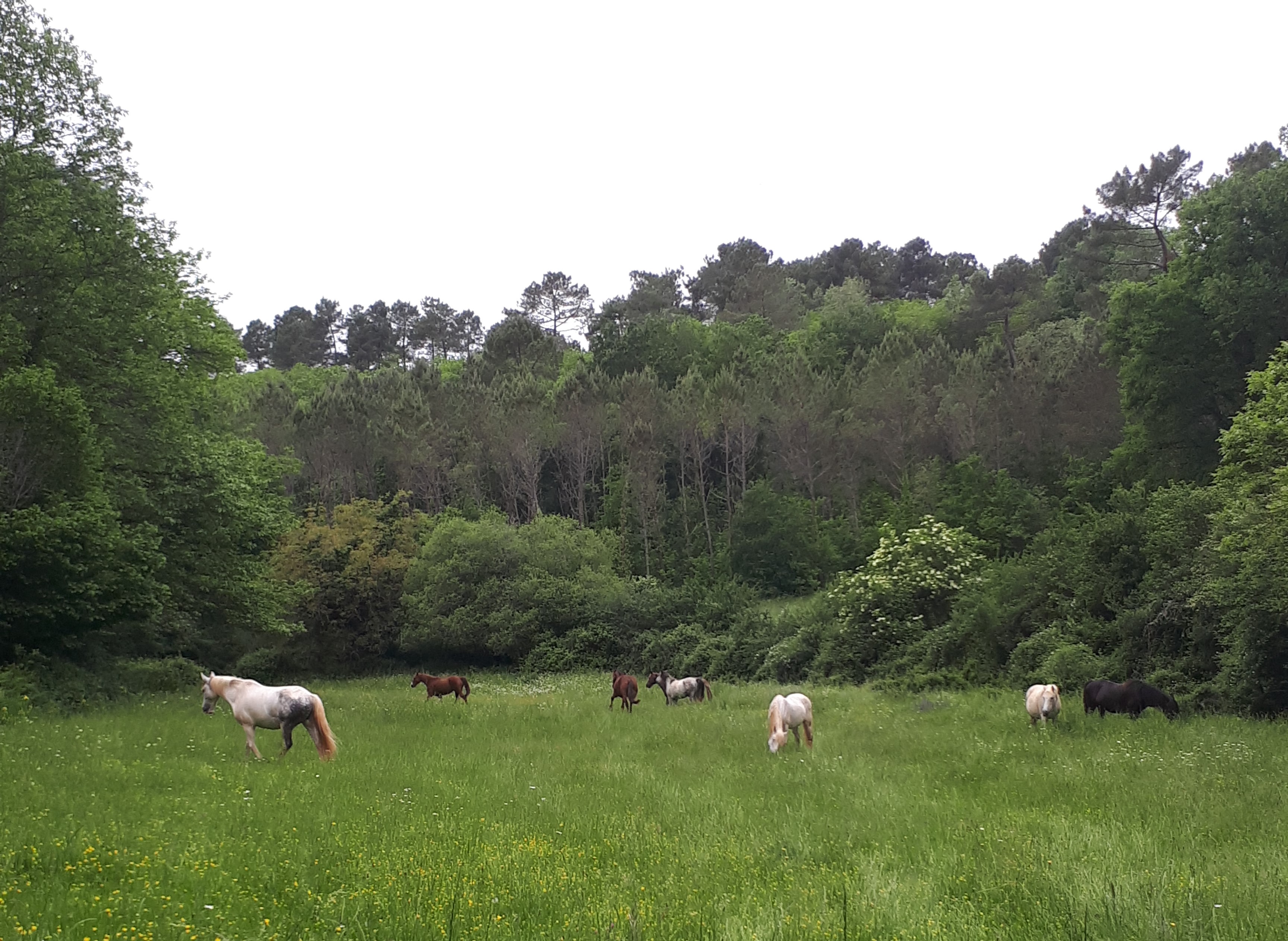 Camping à la ferme de La Fontaine, Montcléra - photo 11