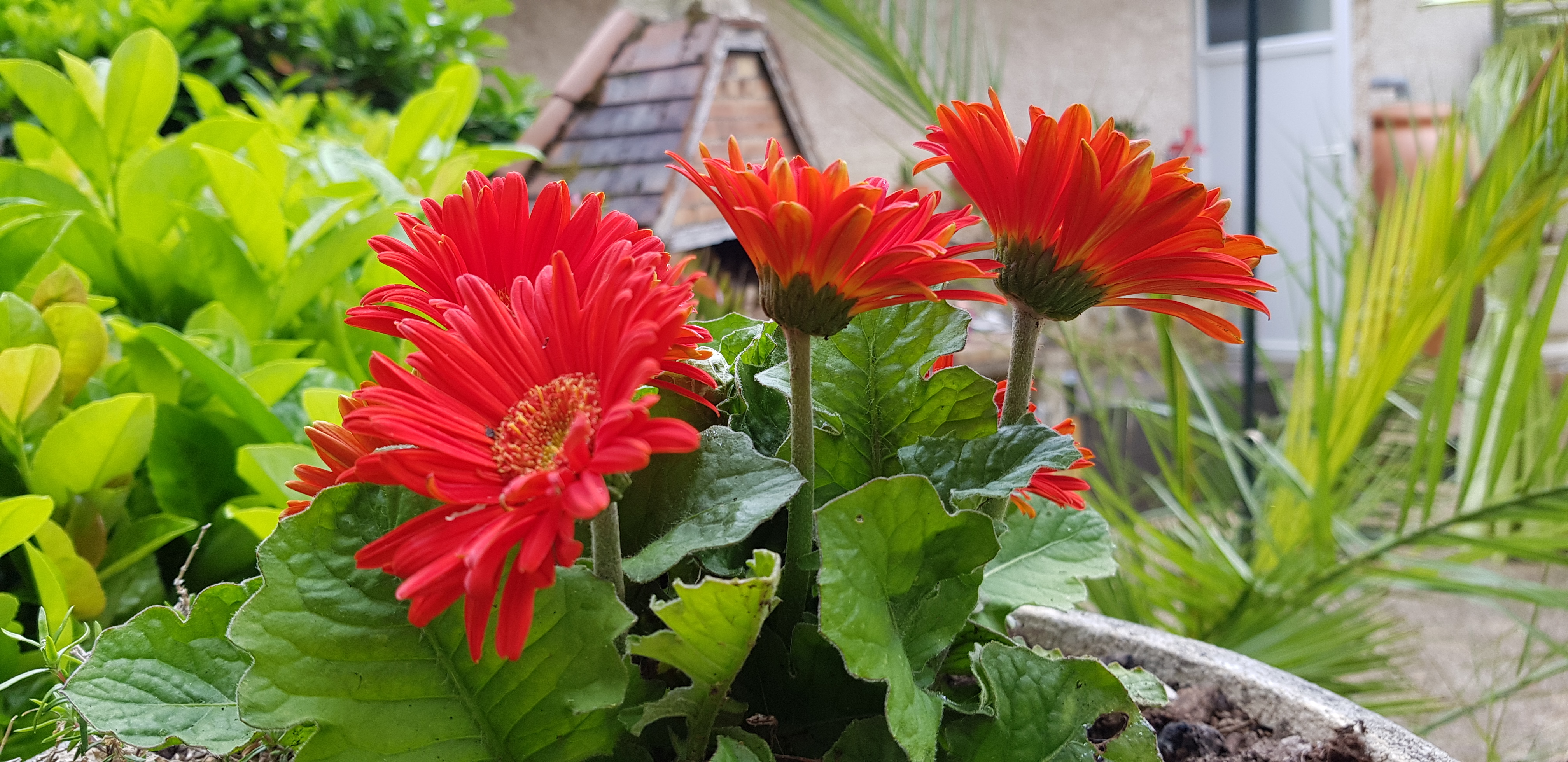 Camping Le Pigeonnier, Miers - photo 4