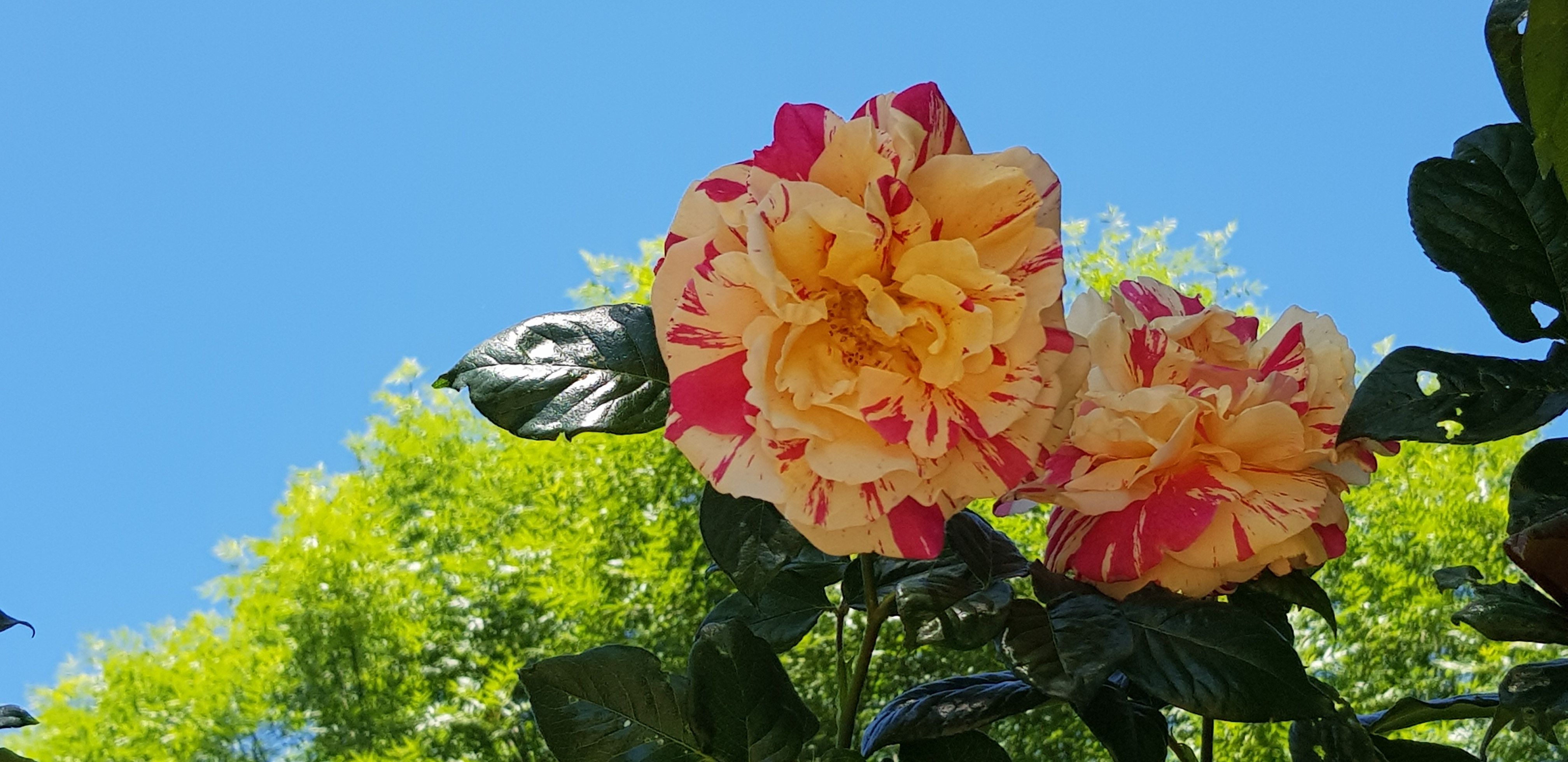 Camping Le Pigeonnier, Miers - photo 5