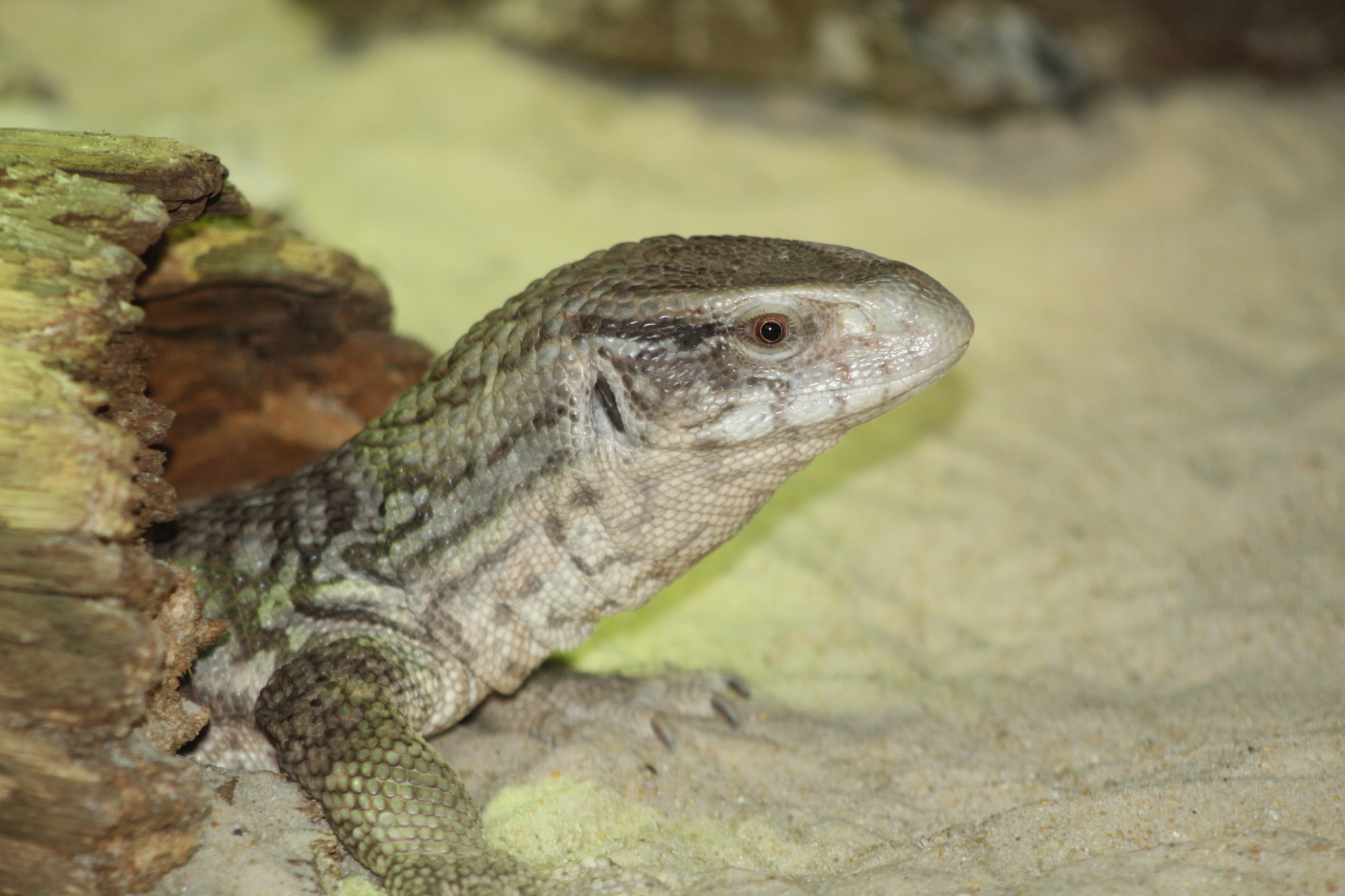 PadiParc, Padirac - photo 2