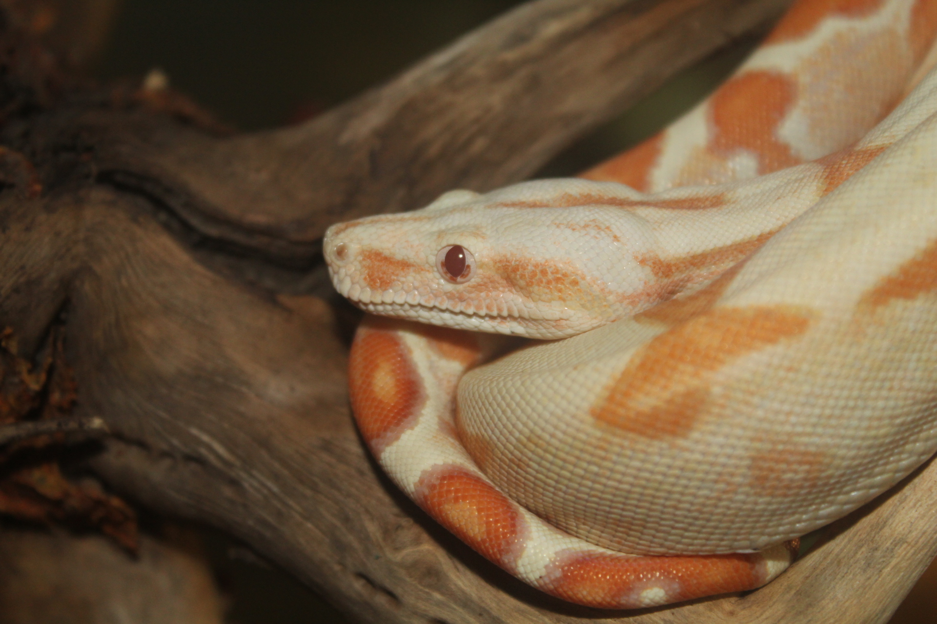 PadiParc, Padirac - photo 3