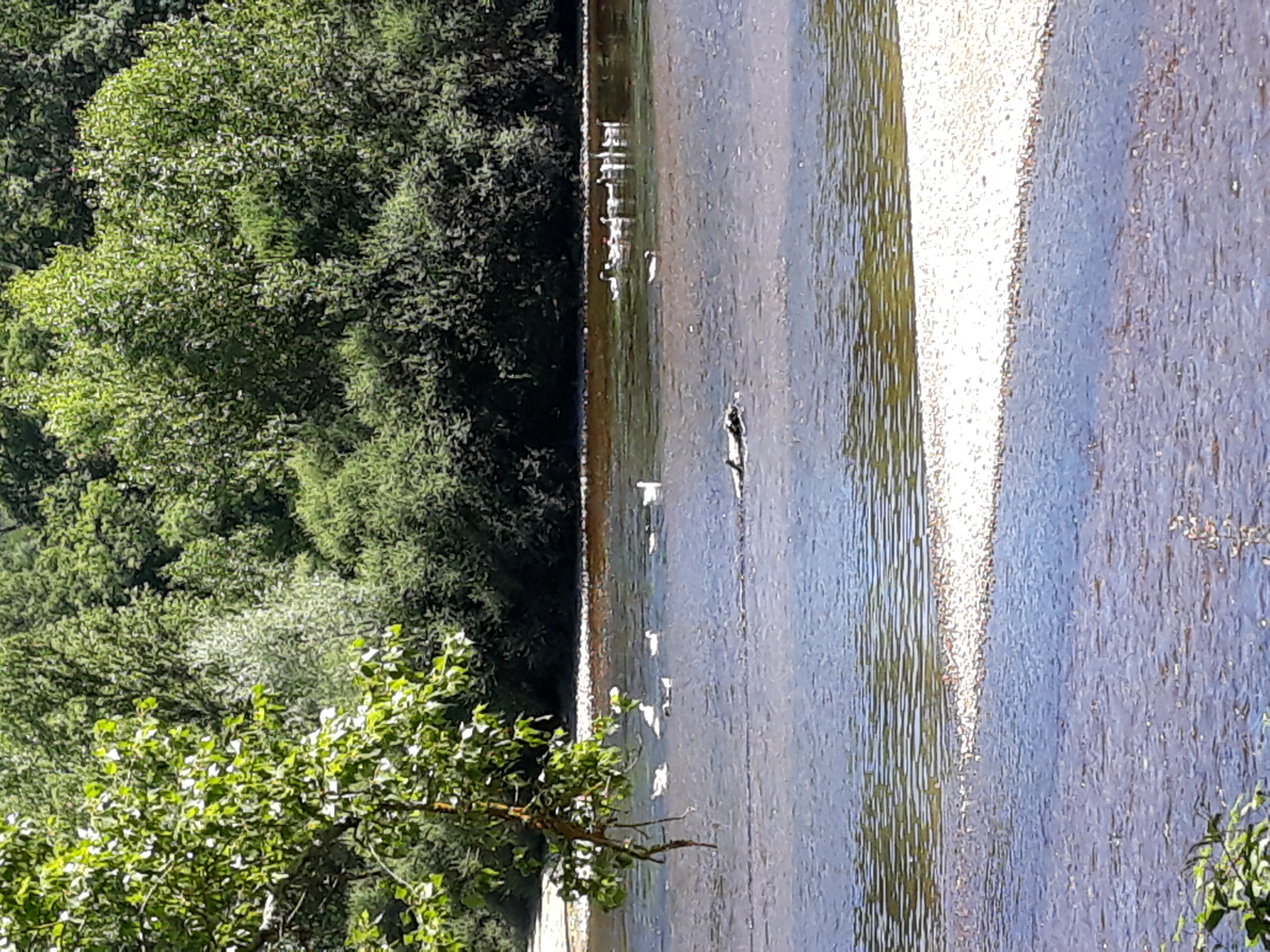 Le Tilleul, Dégagnac - photo 2