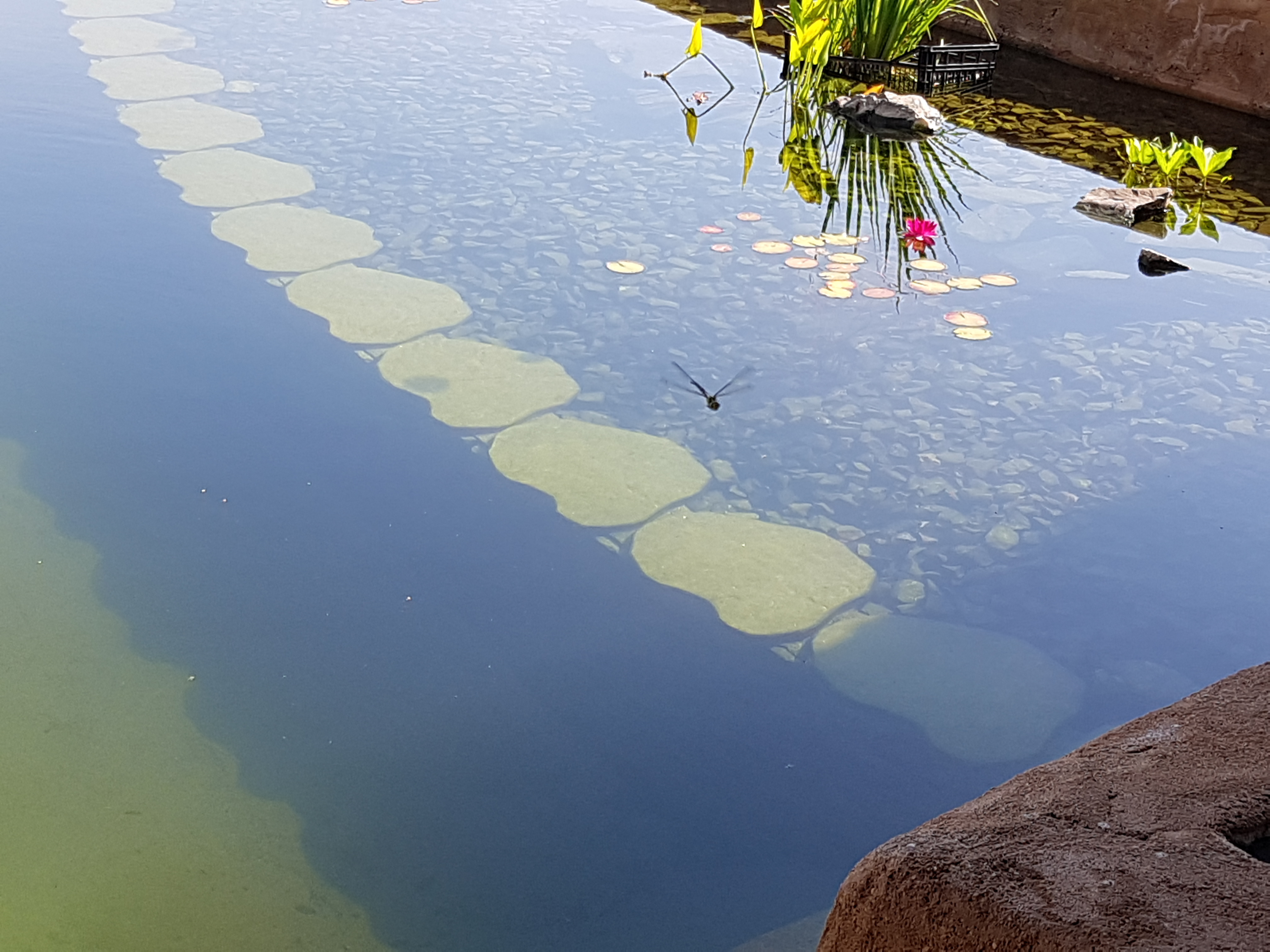 La Benvenguda, Bagnac-sur-Célé - photo 6