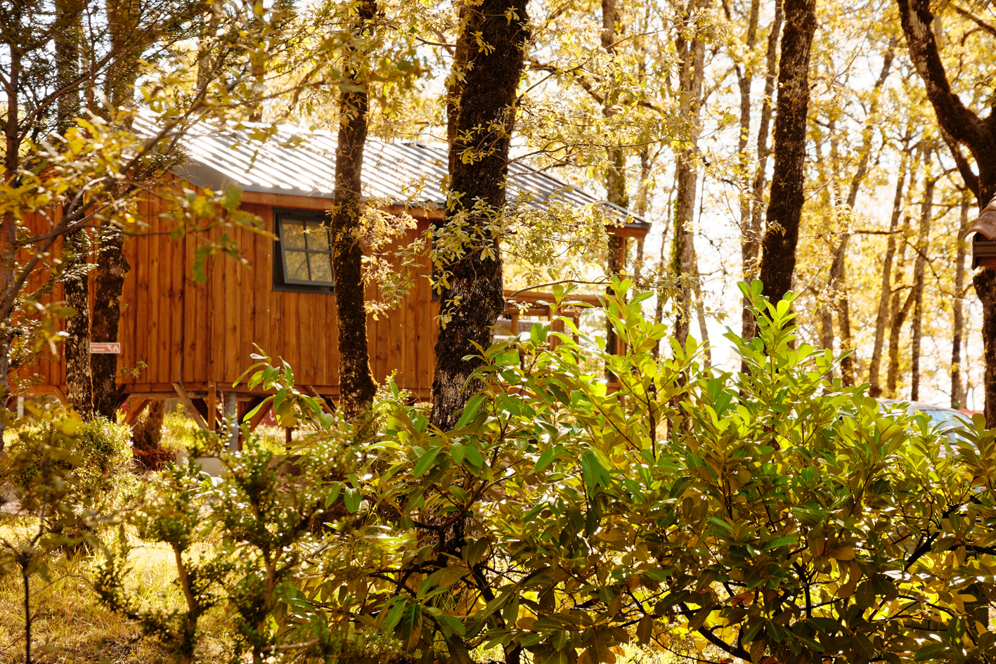 Camping La Truffière, Saint-Cirq-Lapopie - photo 3