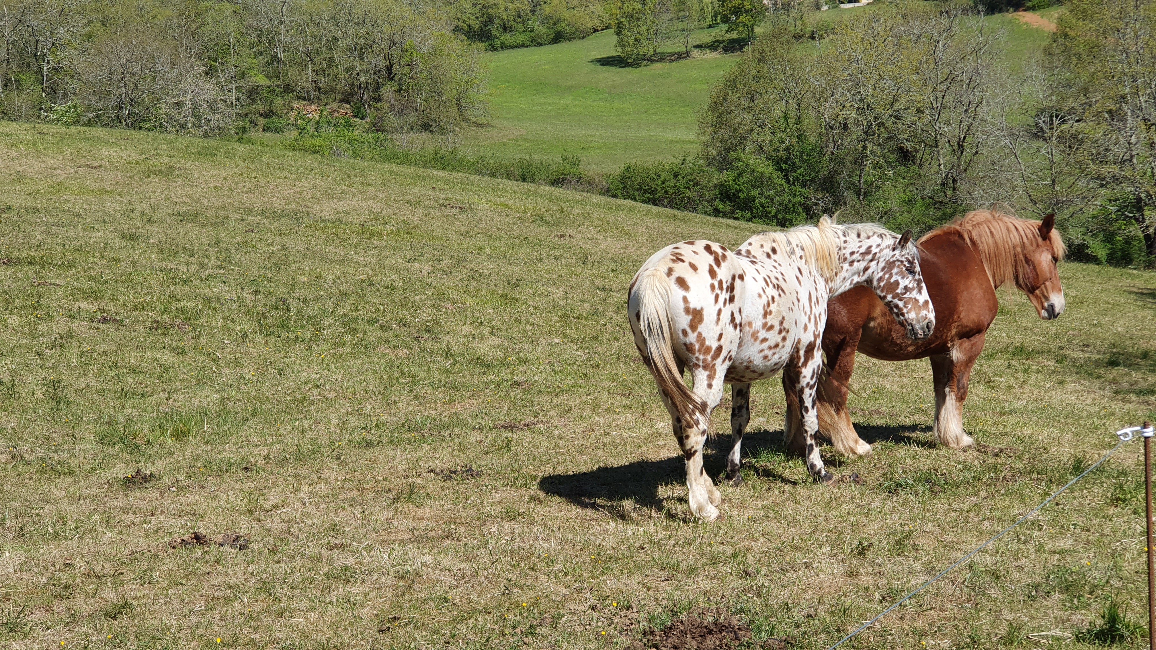 Domaine du Cardou - Gîte Cristal, Puy-l'Évêque - photo 7