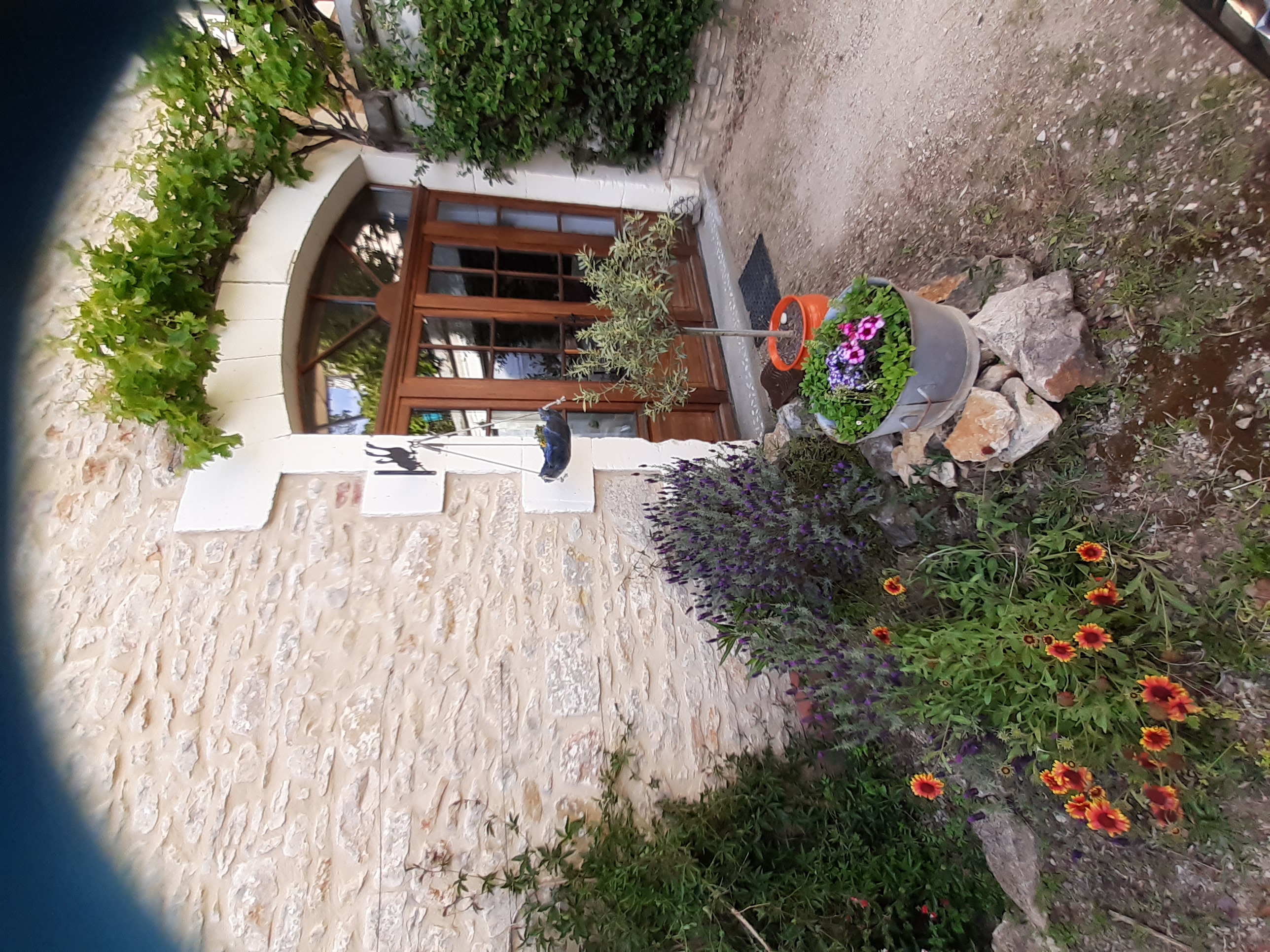 Clos de la Salamandre, Duravel - photo 4