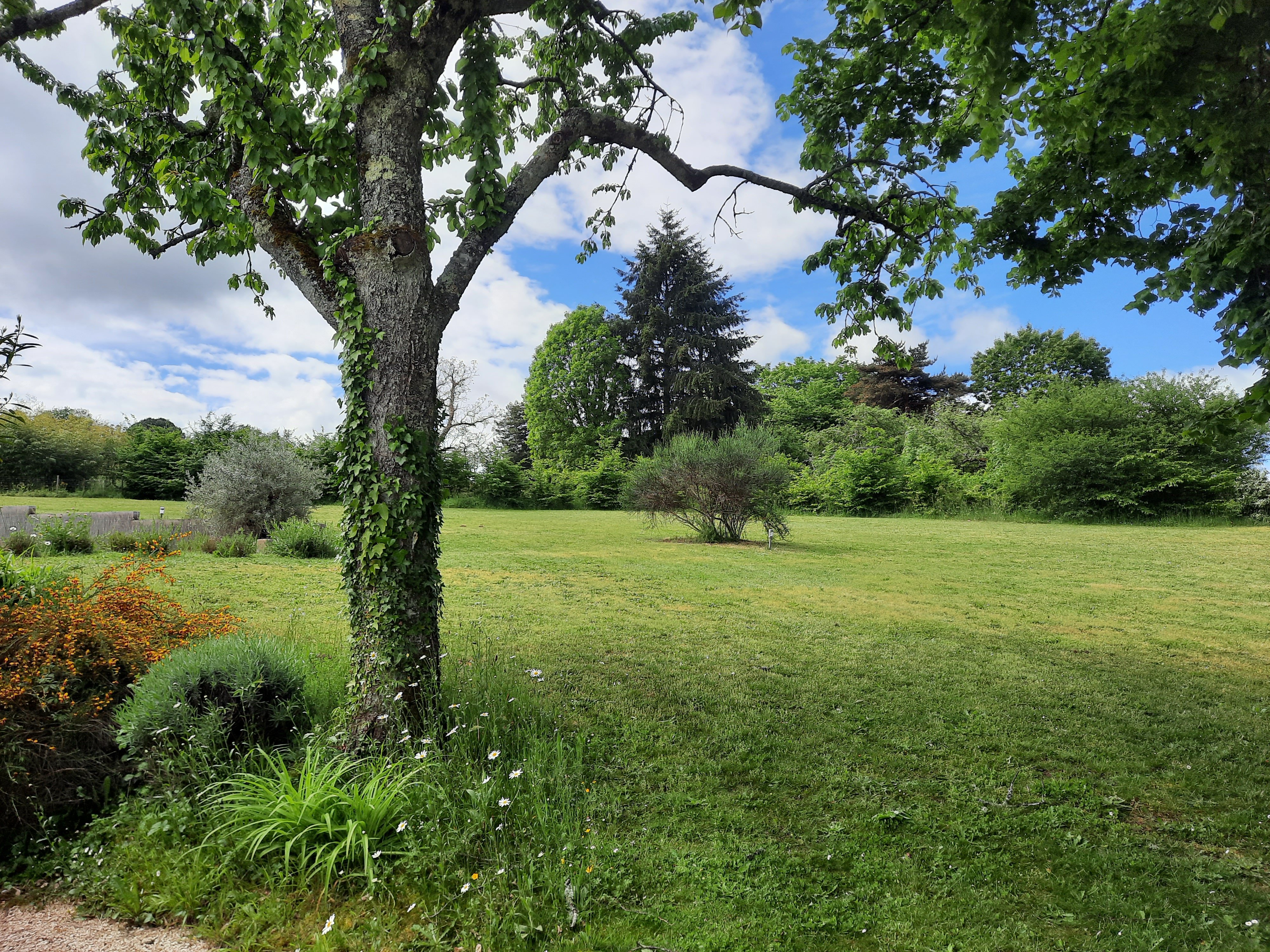 Le Petit Olivier, Saint-Cirq-Souillaguet - photo 2