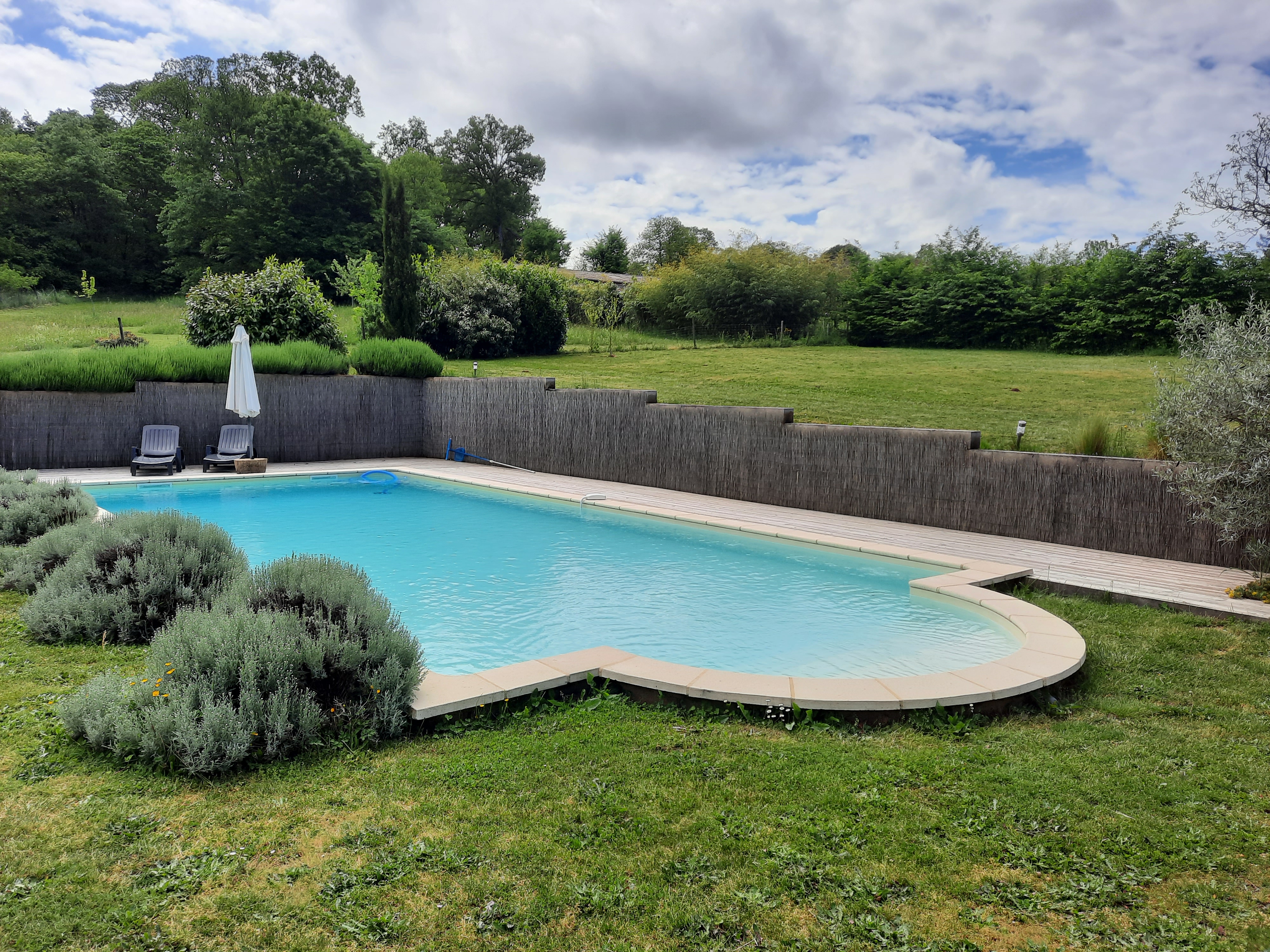 Le Petit Olivier, Saint-Cirq-Souillaguet - photo 3