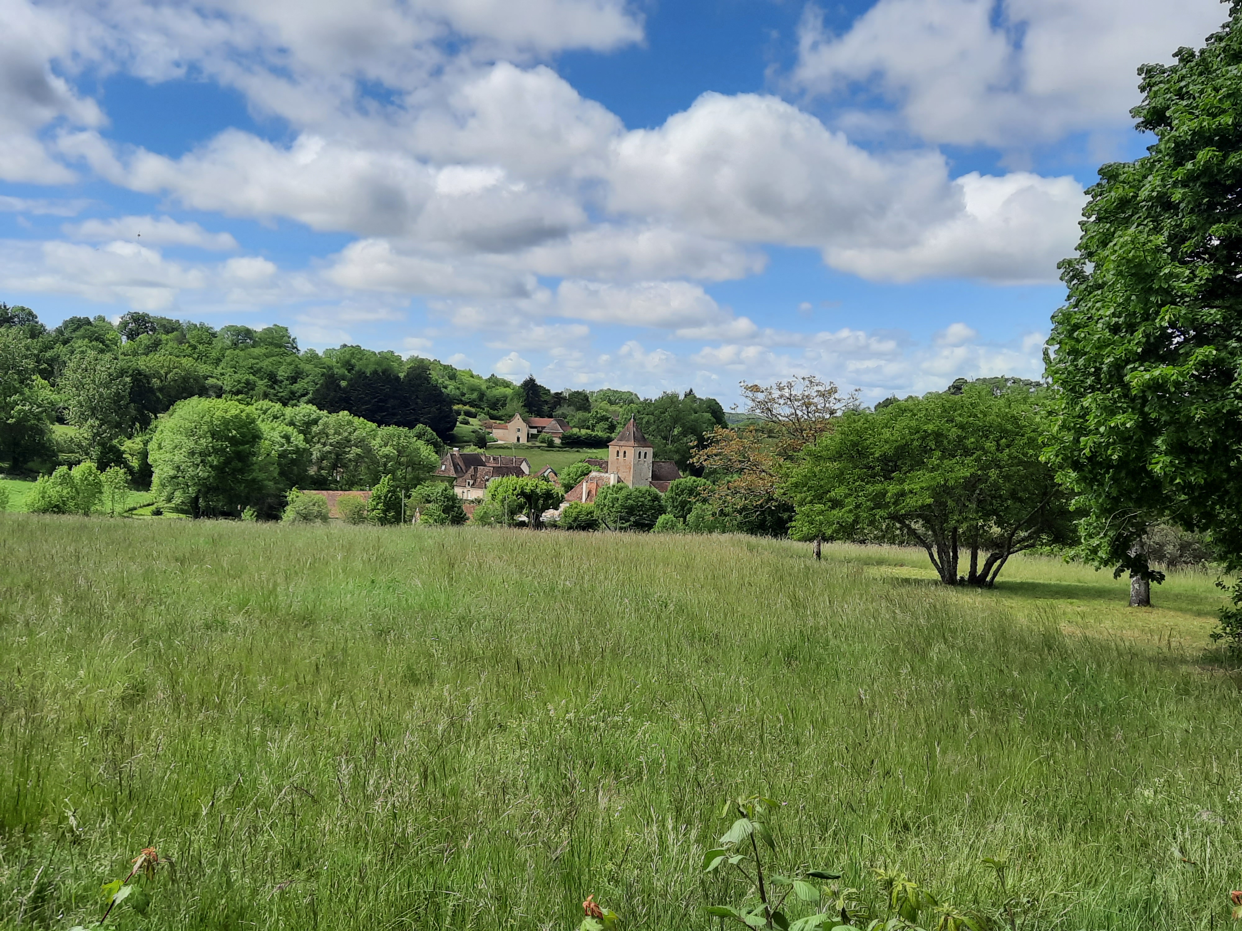 L’ Ane Papillon, Saint-Cirq-Souillaguet - photo 6