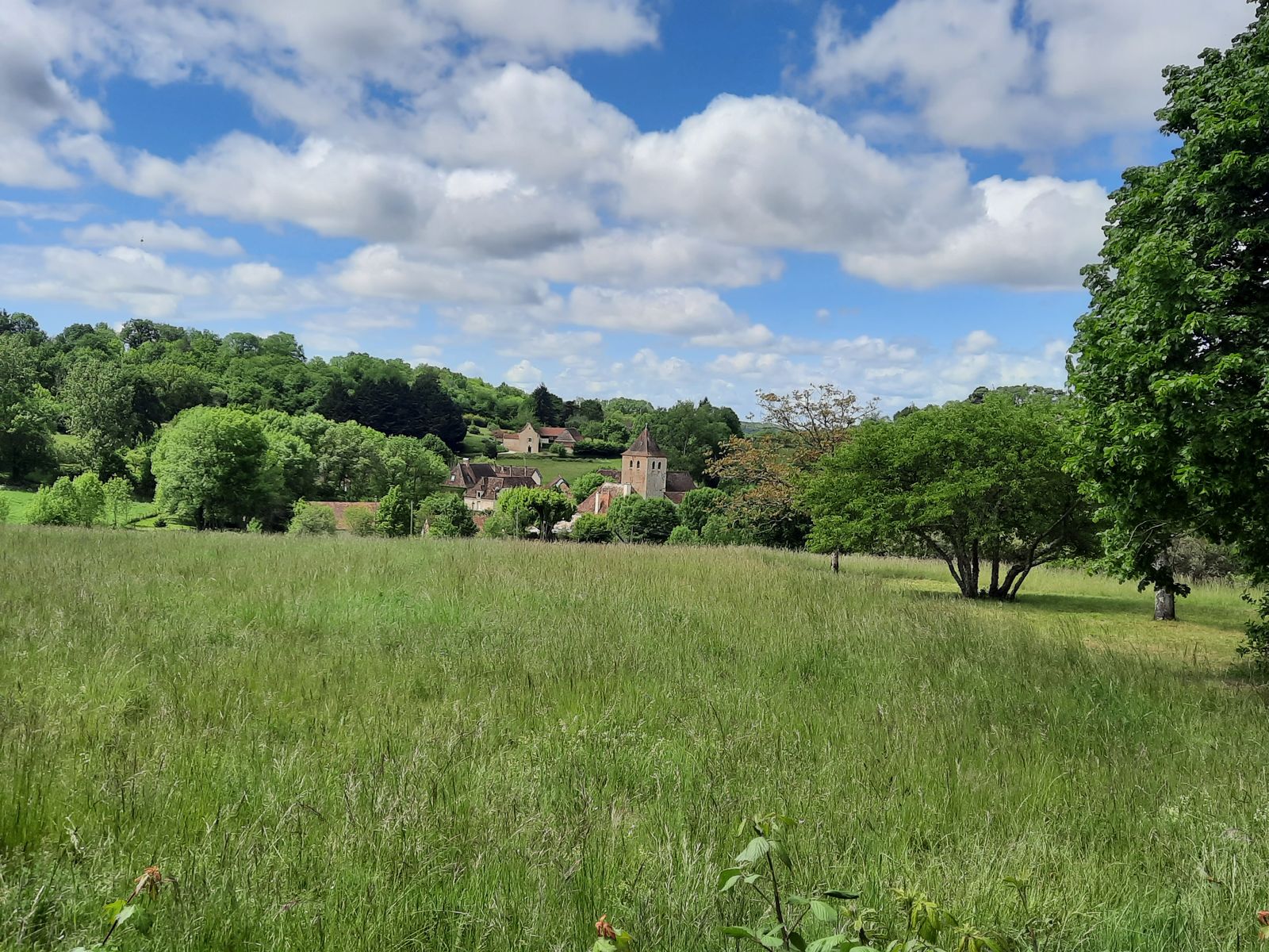 Le Petit Olivier, Saint-Cirq-Souillaguet - photo 4