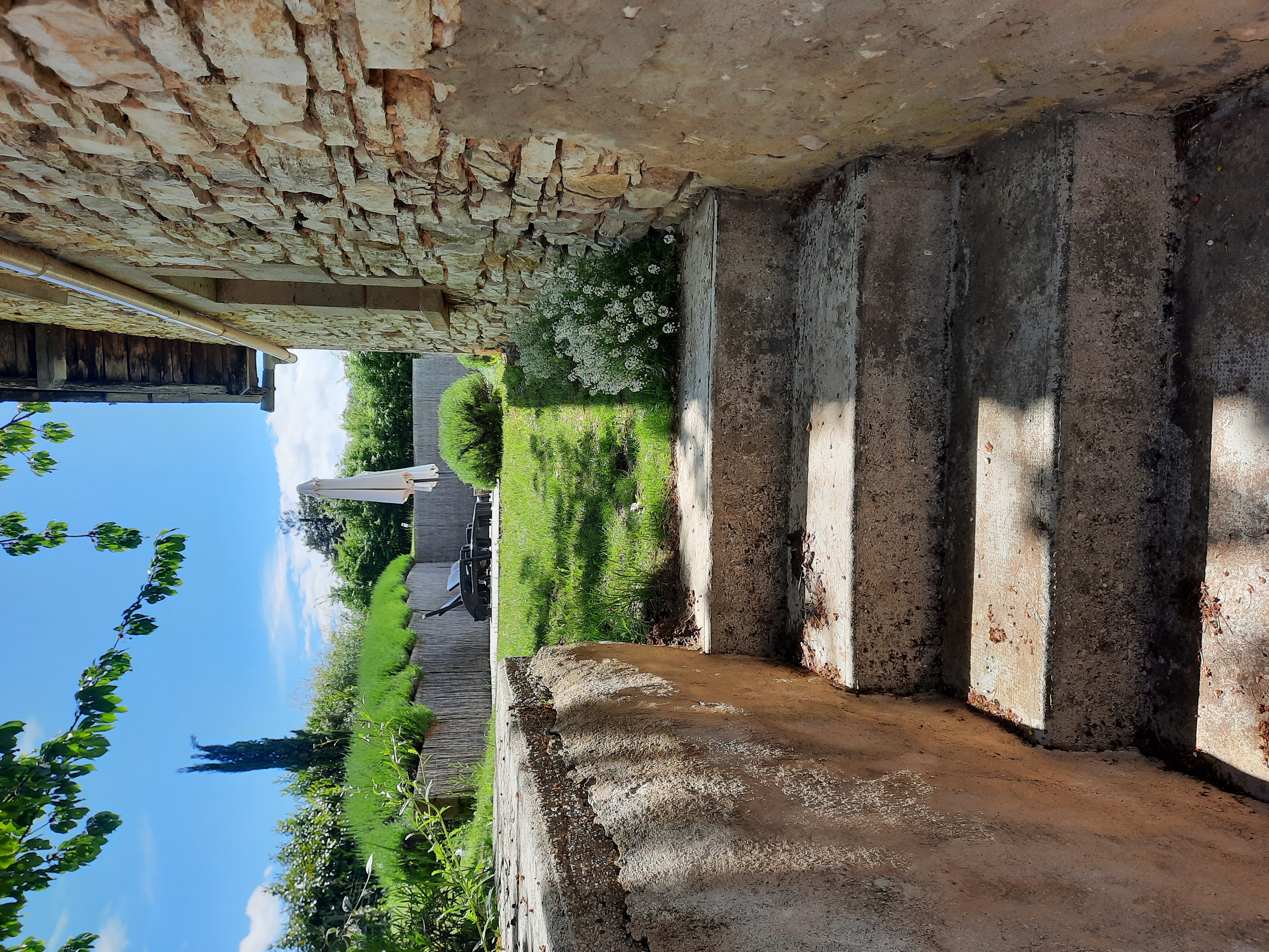 Le Petit Olivier, Saint-Cirq-Souillaguet - photo 5