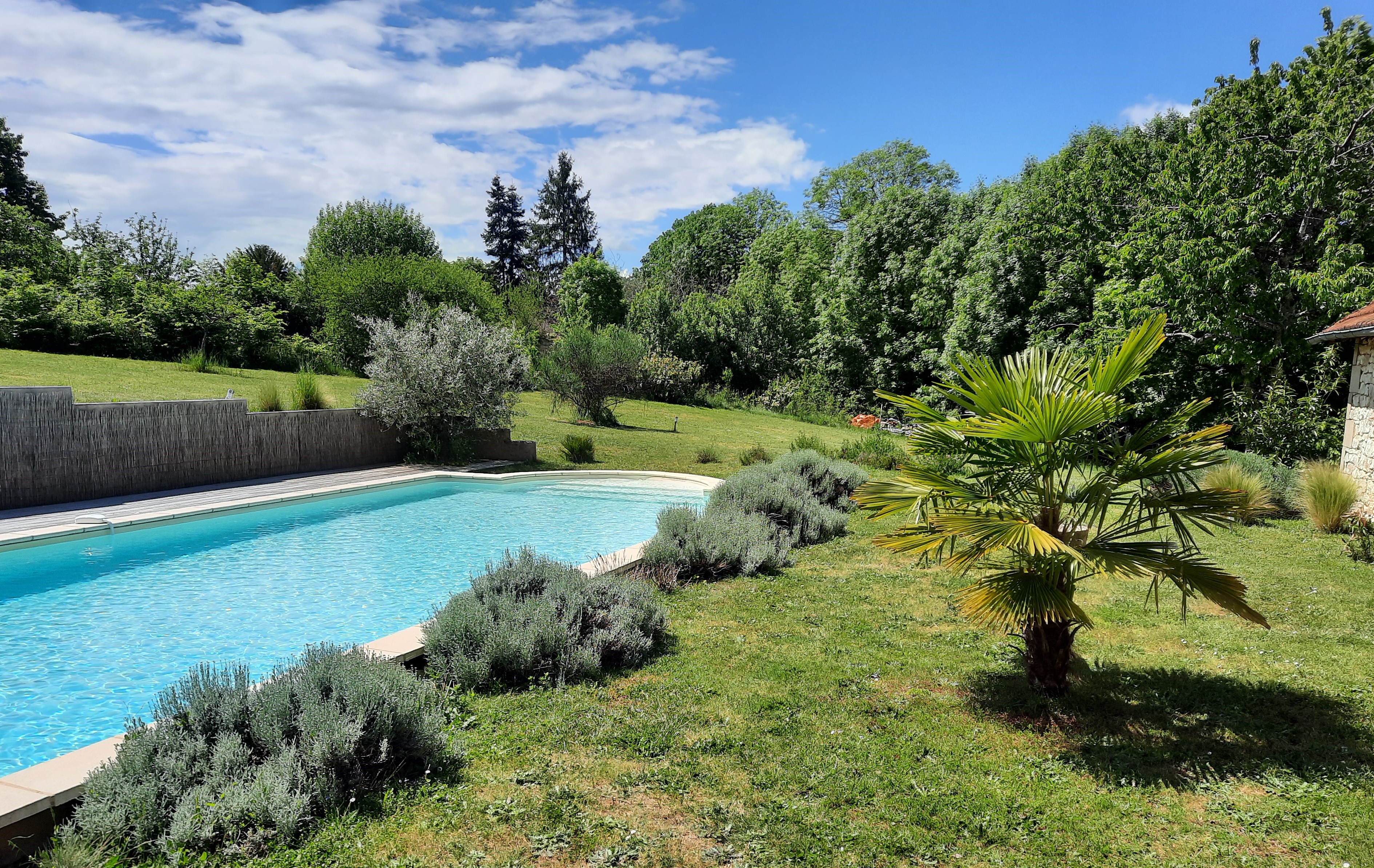 L’ Ane Papillon, Saint-Cirq-Souillaguet - photo 8