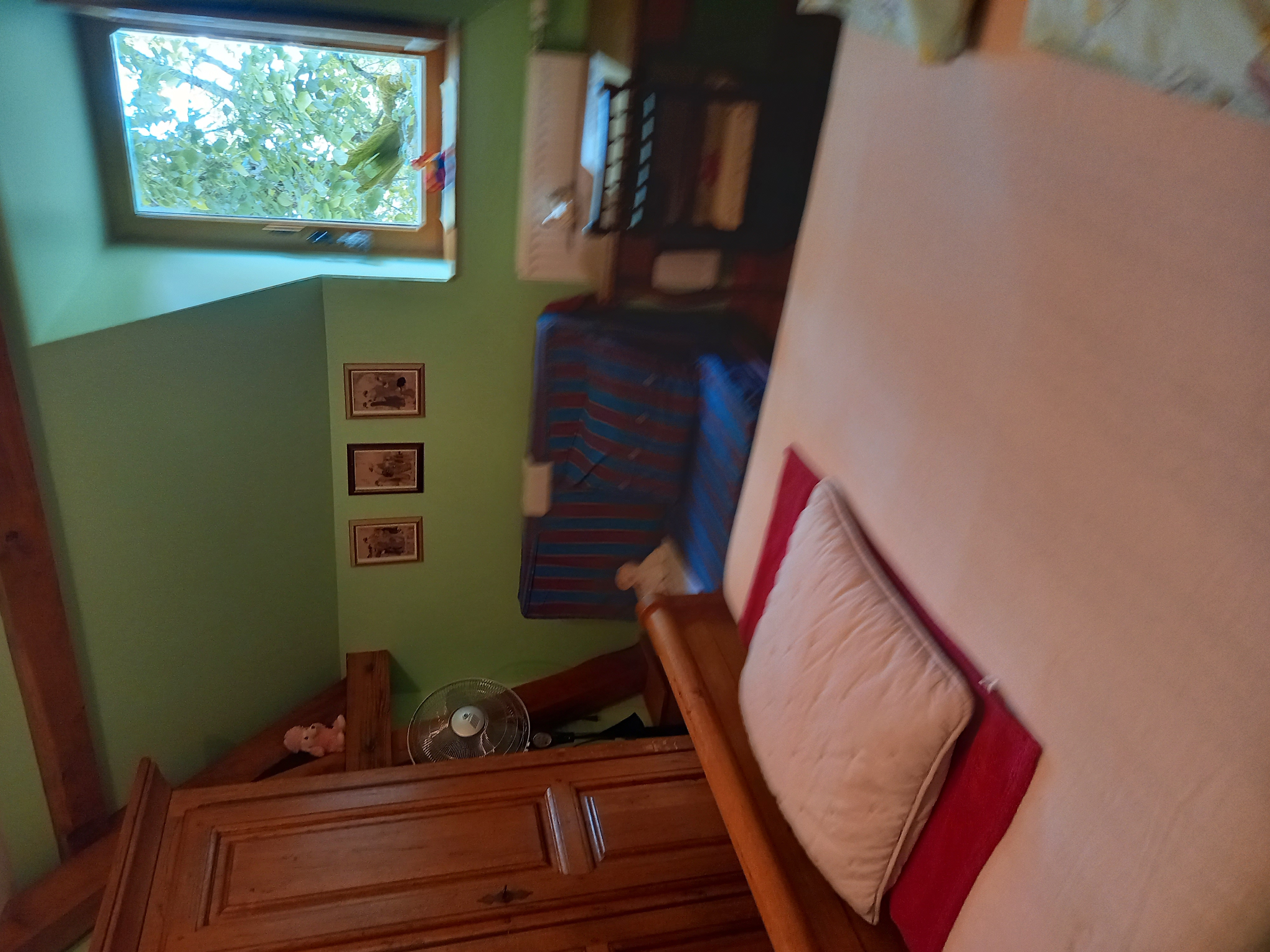 Le Tilleul, Dégagnac - photo 5