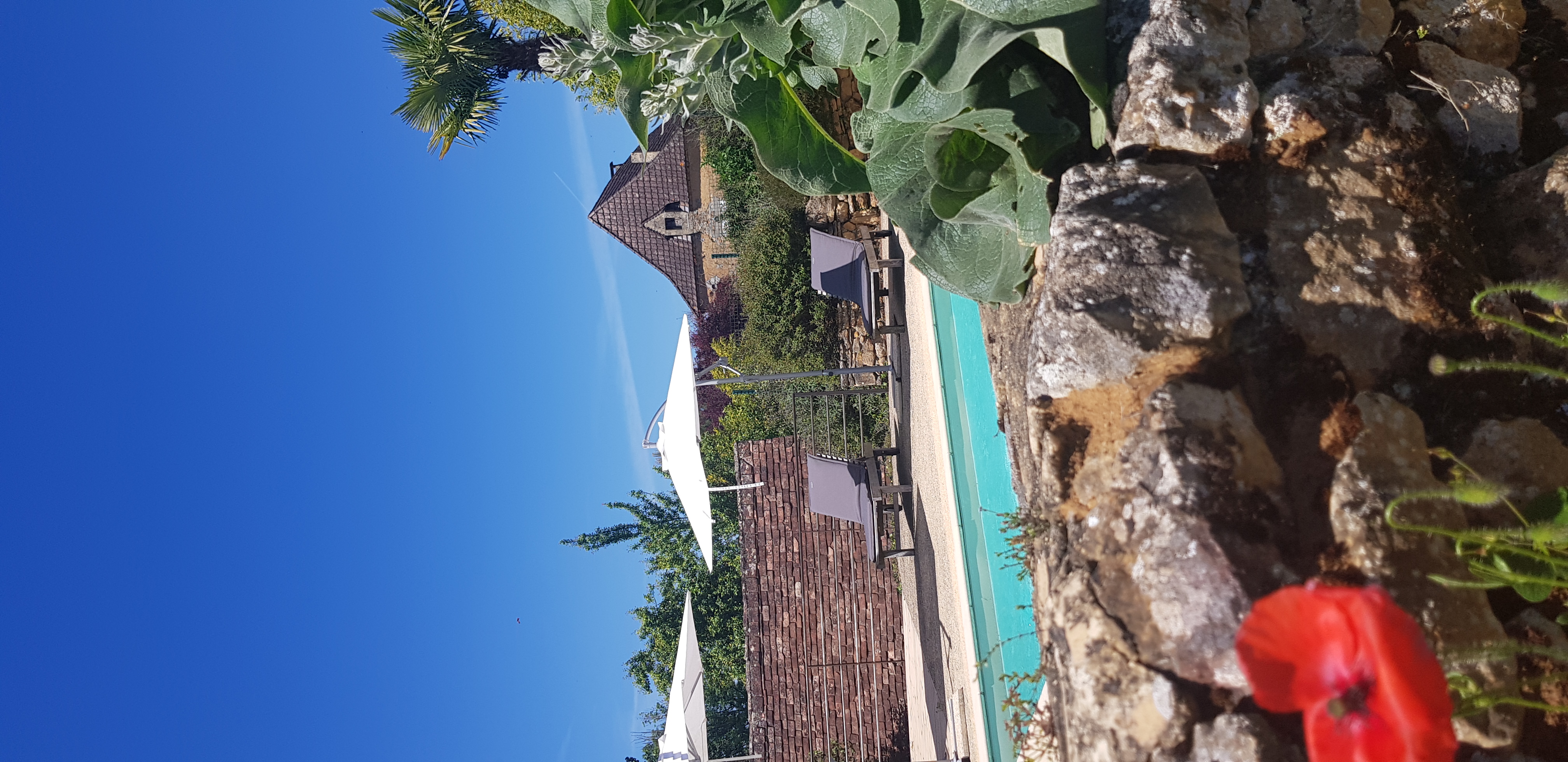 Villa "Les Palmiers", Milhac - photo 10