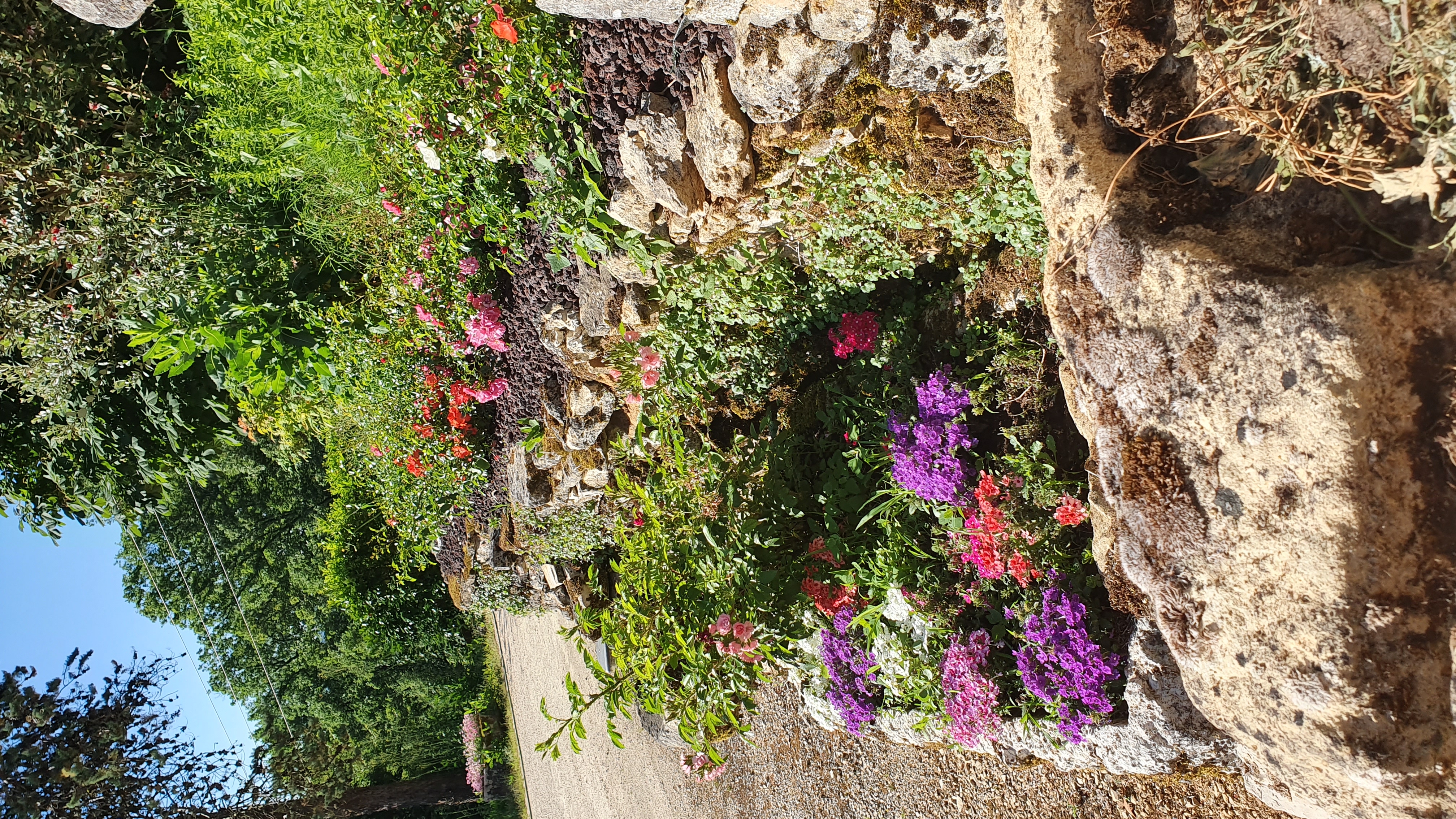 Domaine du Cardou - Gîte Cristal, Puy-l'Évêque - photo 9
