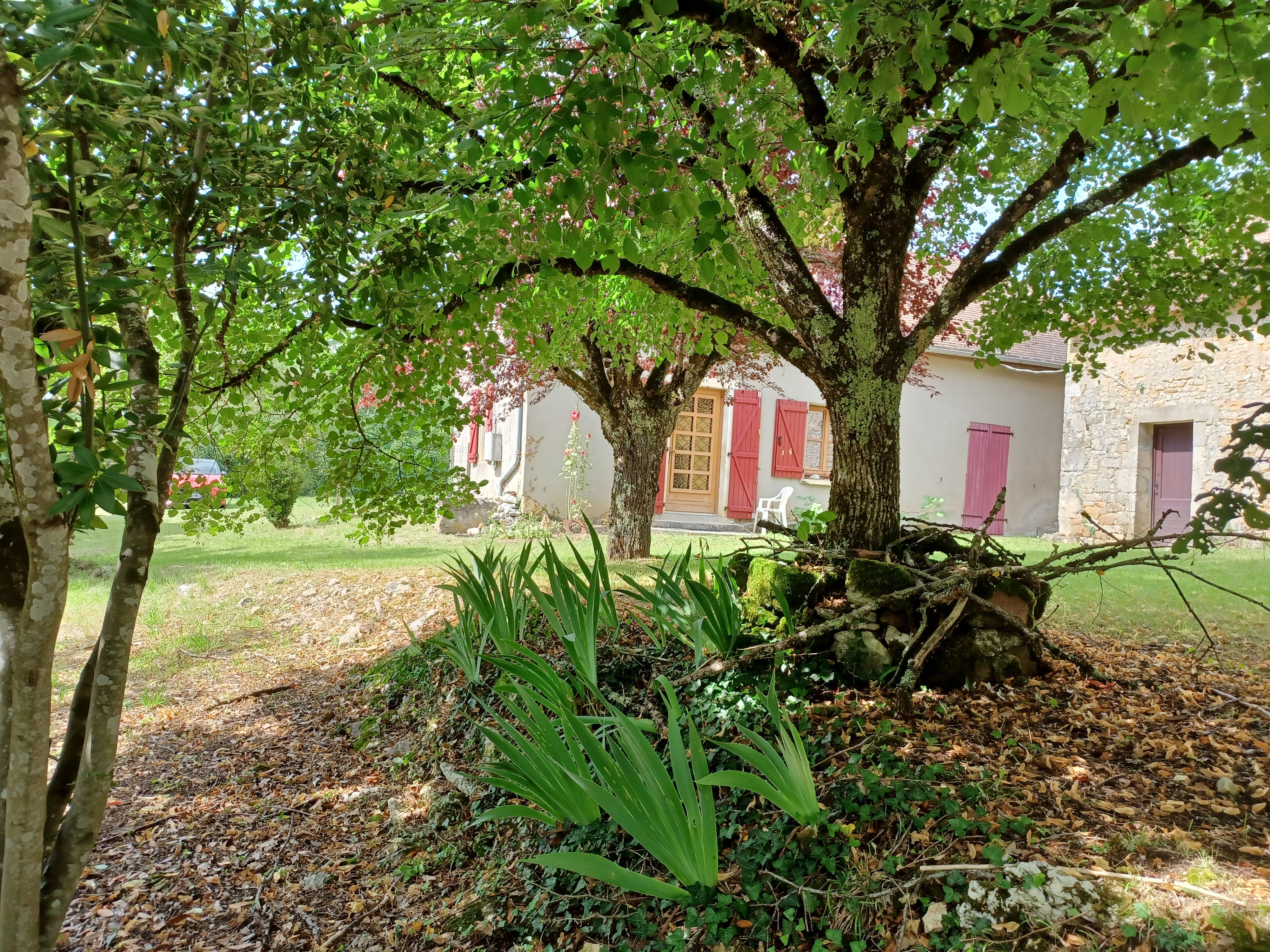 La Toulousie, Loupiac - photo 2