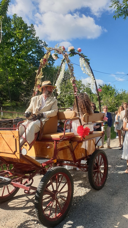 Balade en calèche sur le Causse de Limogne, Promilhanes - photo 3
