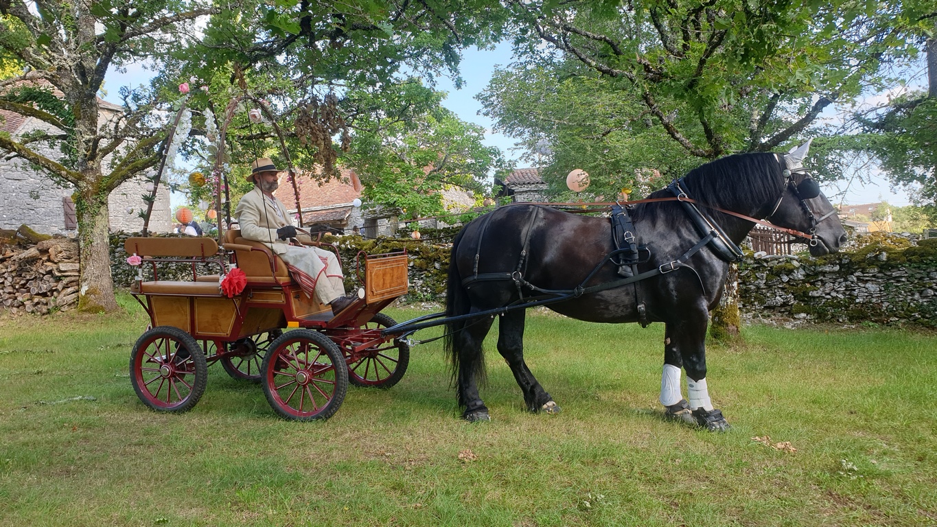 Balade en calèche sur le Causse de Limogne, Promilhanes - photo 4