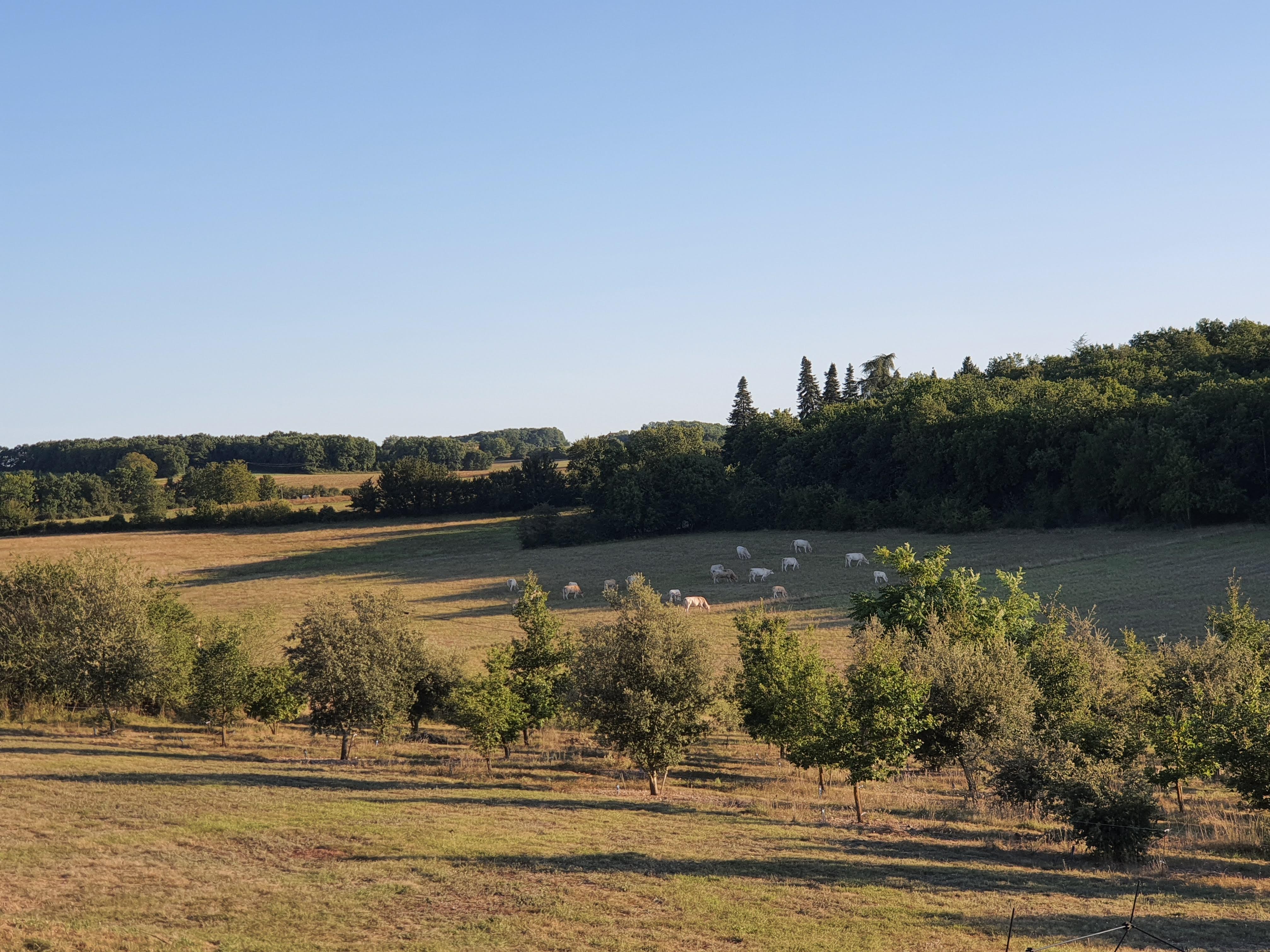 Les Gîtes de Cazes - Ginette, Sérignac - photo 6
