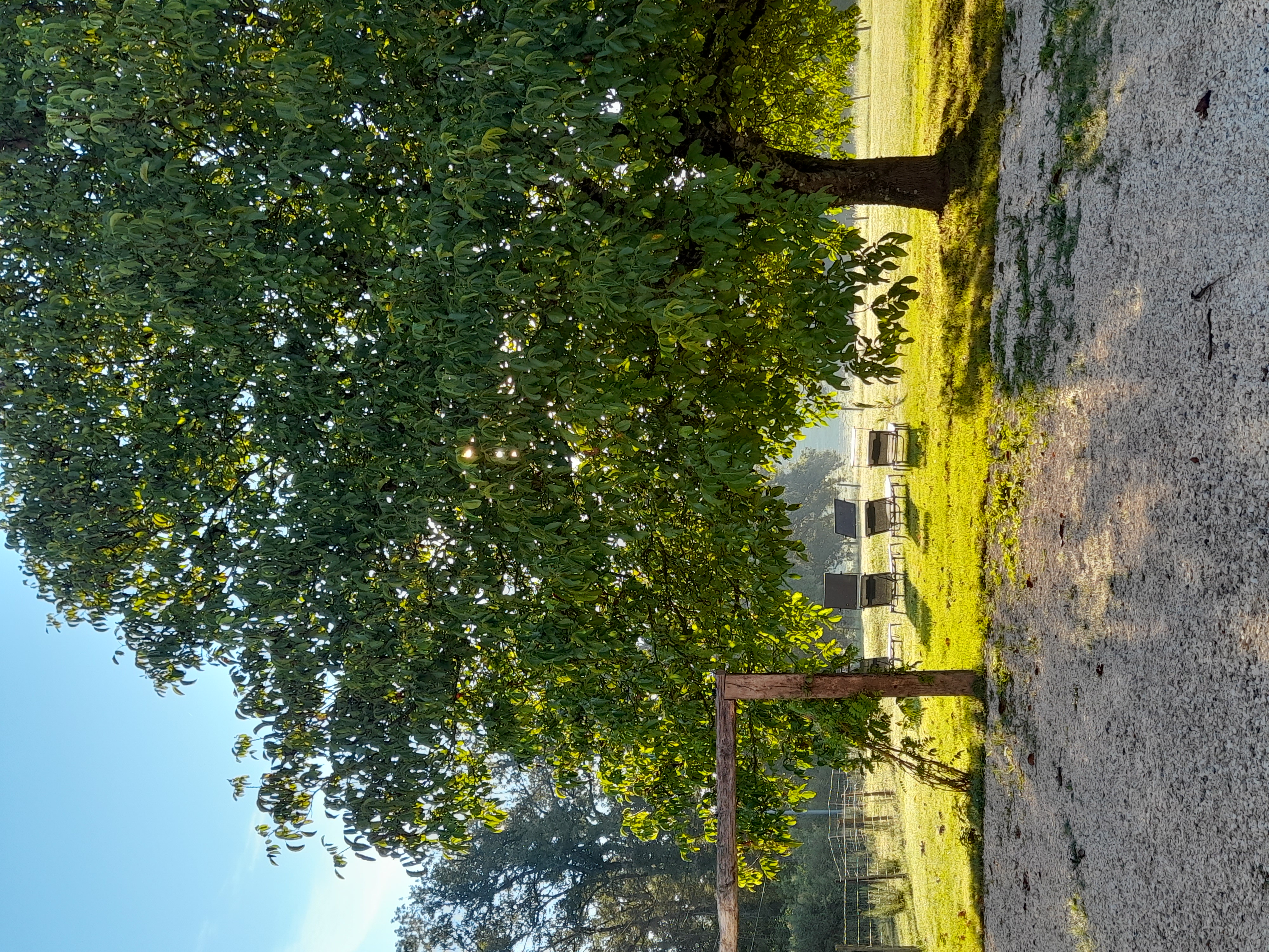 Gîte de la croix de Fénelon, Masclat - photo 10