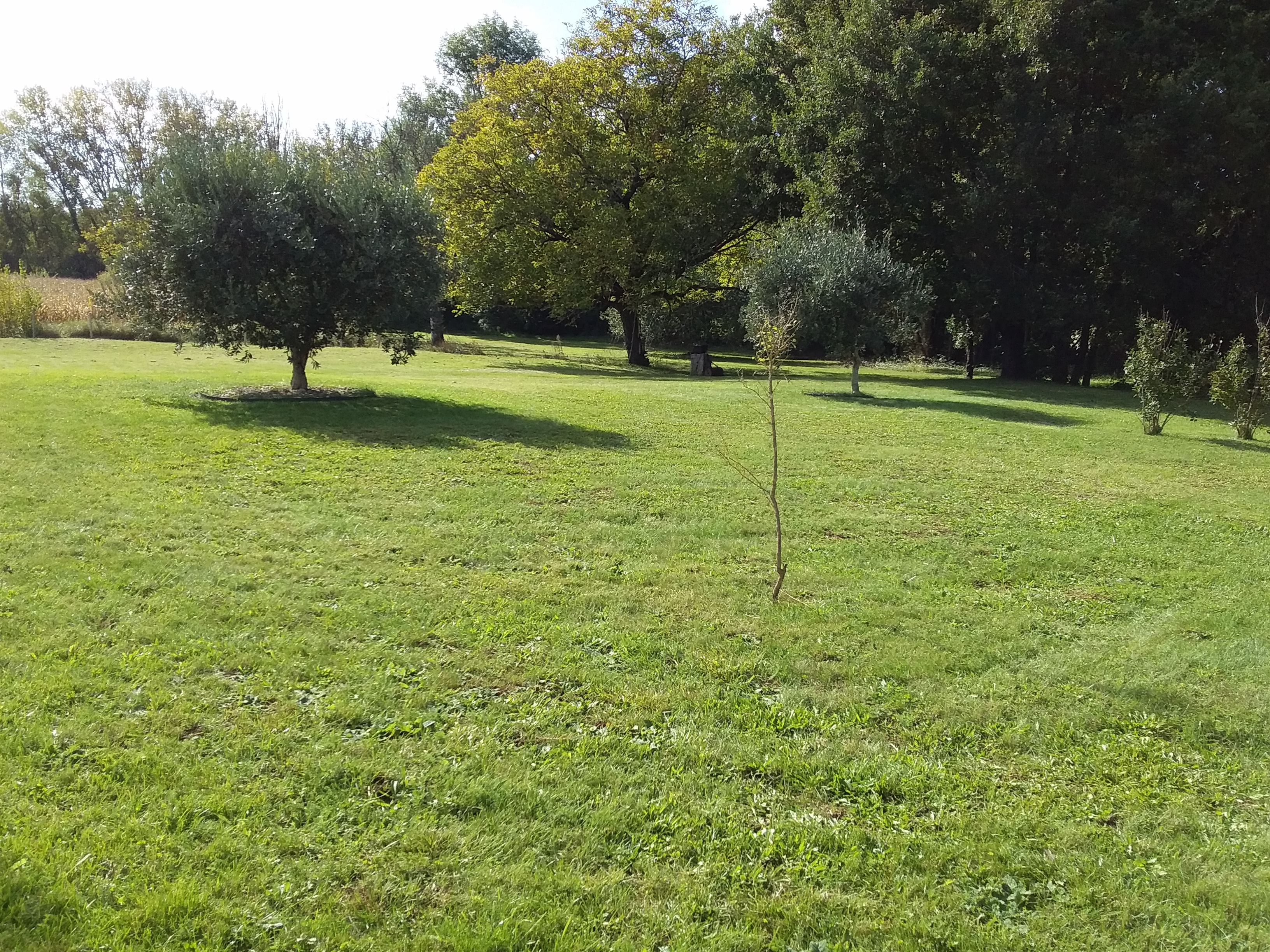 Le Clos des Figuiers - Gîte Le Cocon