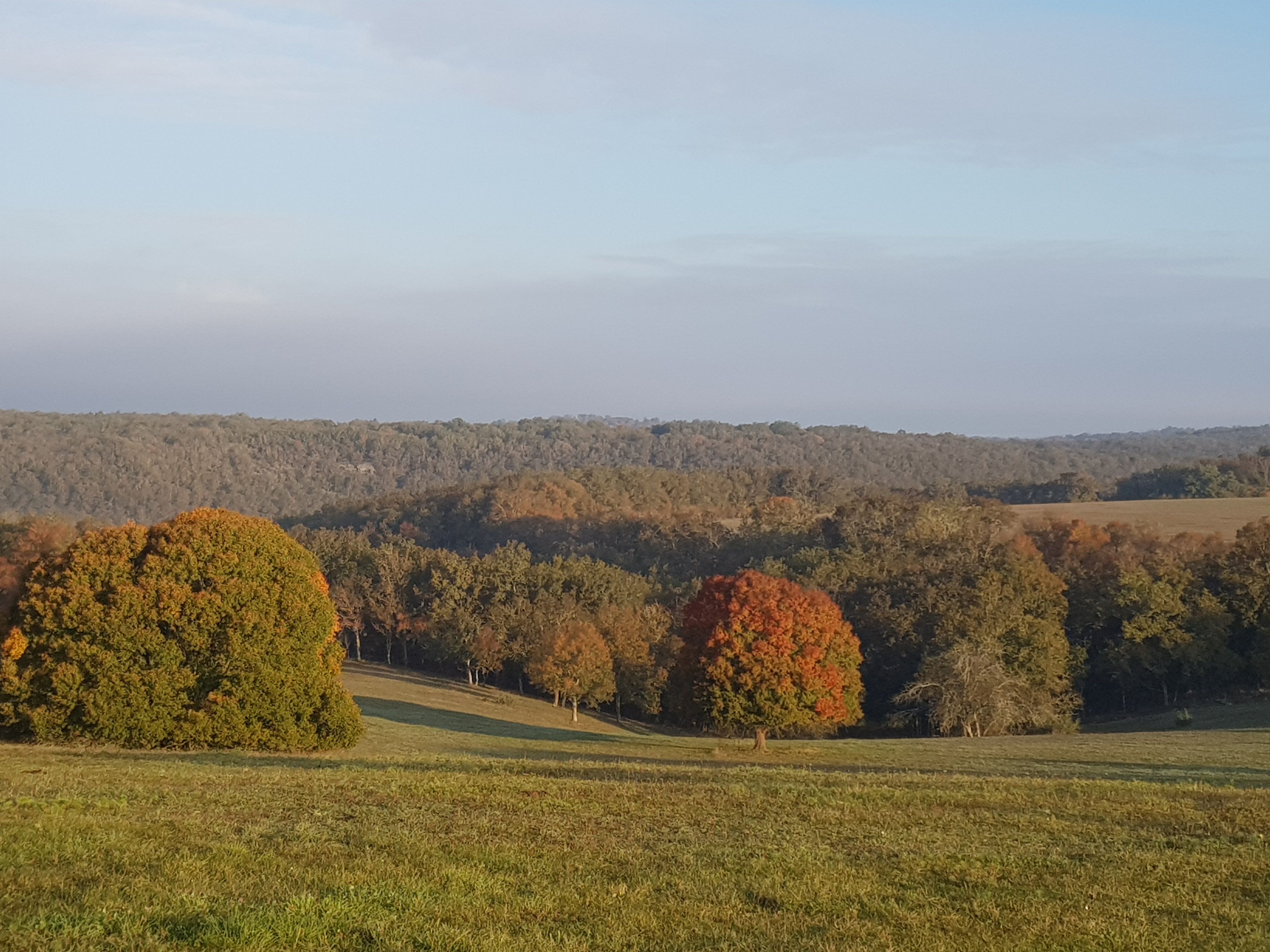 La ferme de la Jamonne