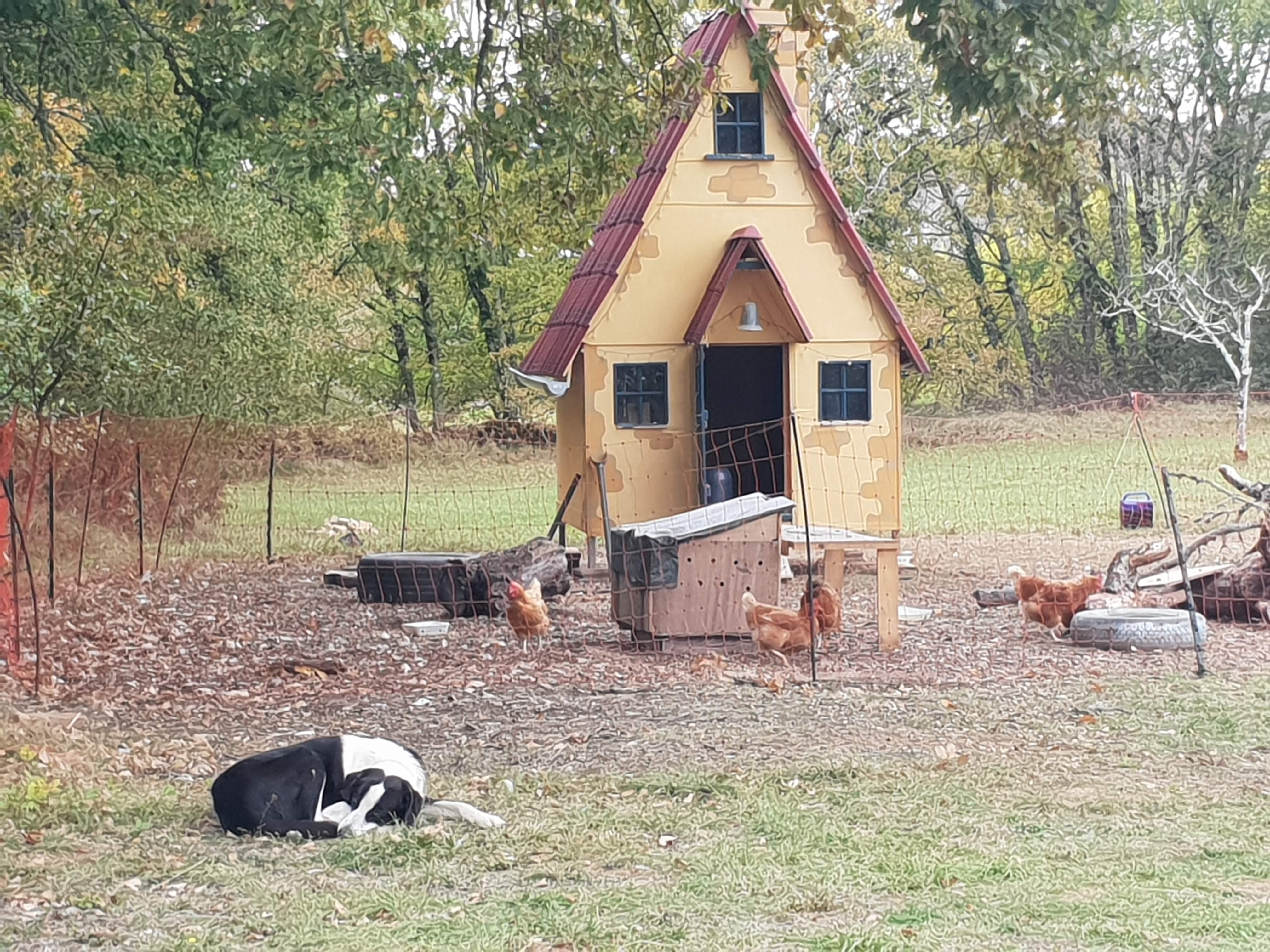 Rusty Shears, Lacapelle-Cabanac - photo 3