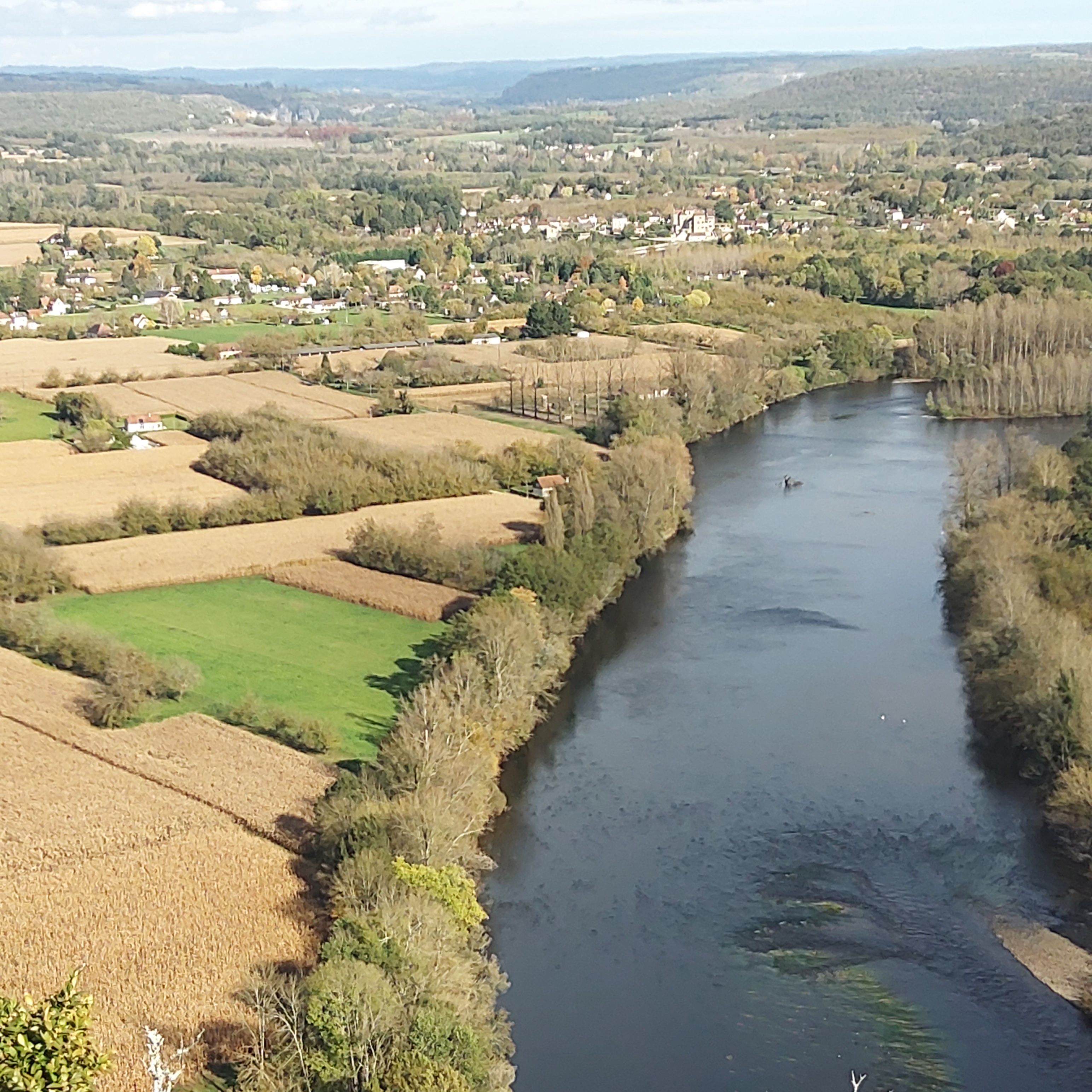 Les Cigales, Lacave - photo 4