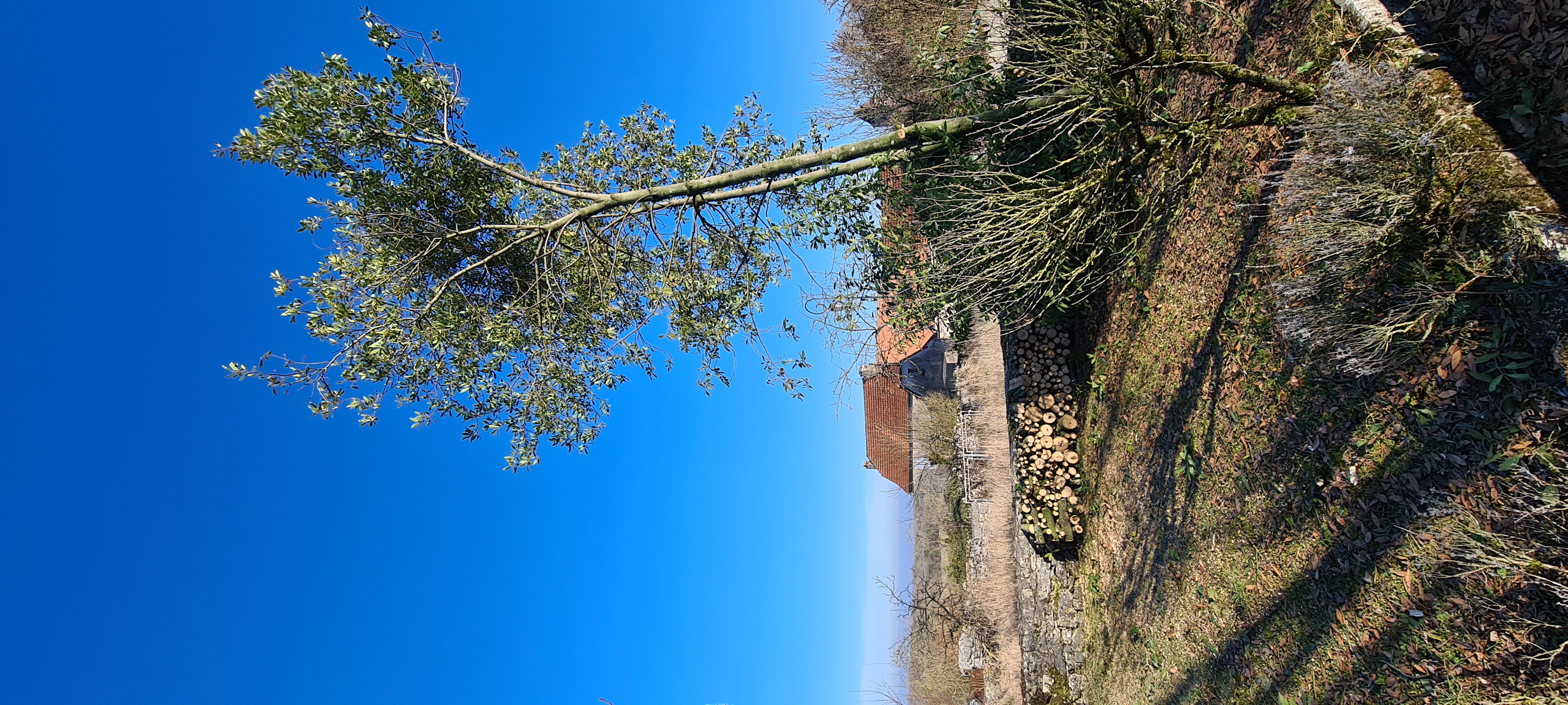 Gîte Le Roudoulous, Cœur de Causse - photo 3