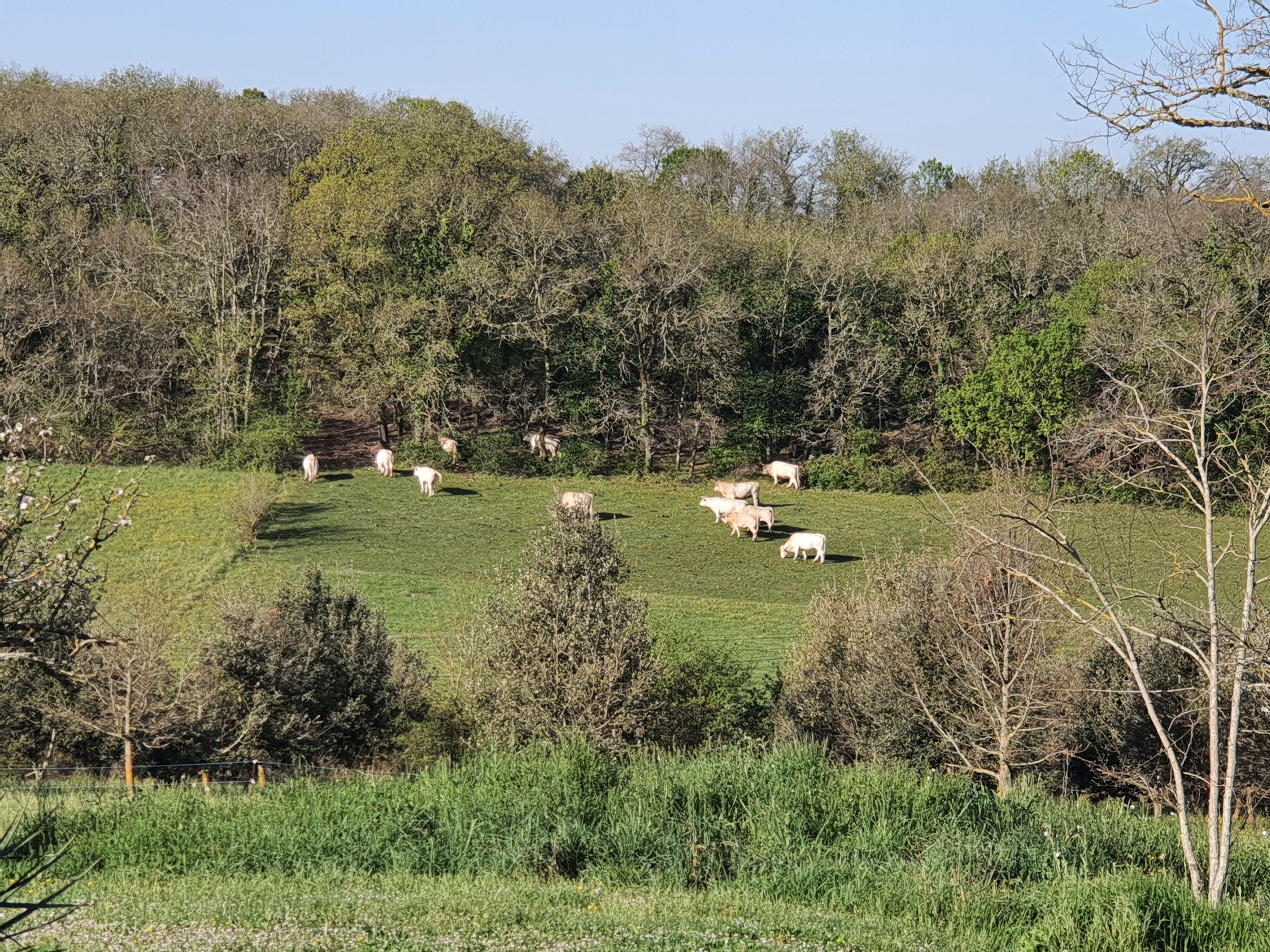 Les Gîtes de Cazes - Ginette, Sérignac - photo 9