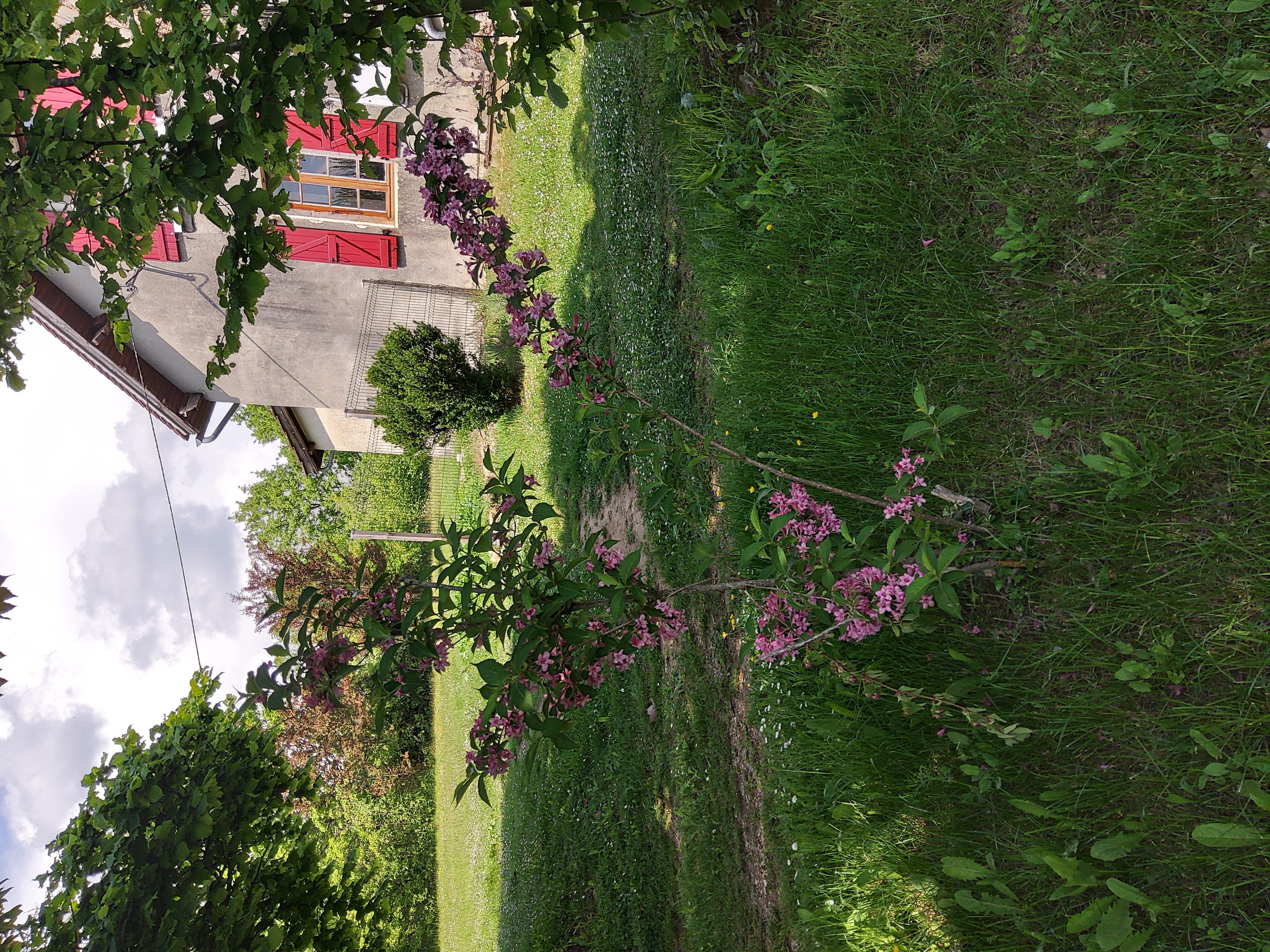 La Toulousie, Loupiac - photo 13