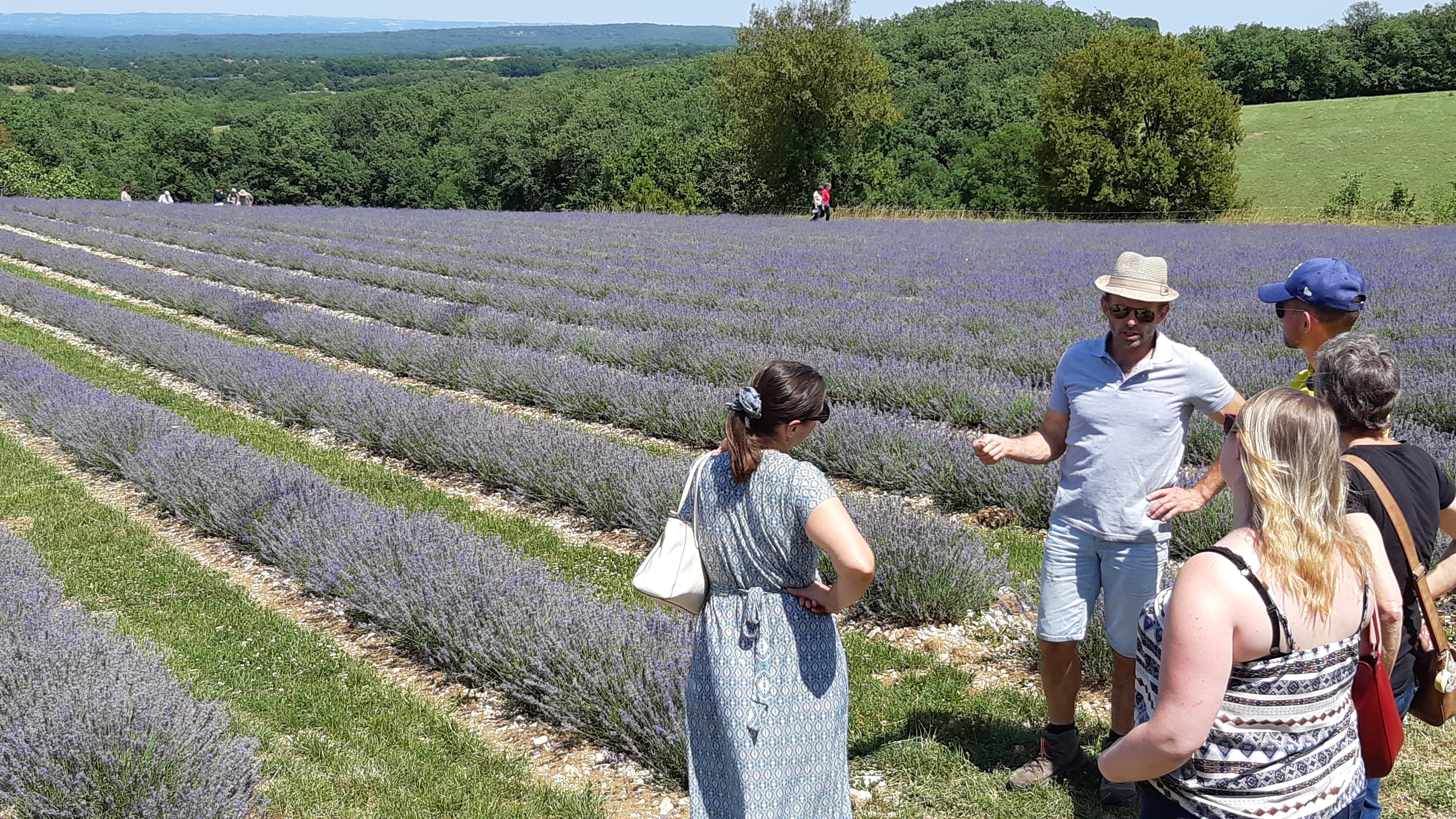 Rando dans les champs de lavande à l'occasion des Portes des Bergers des Lavandes