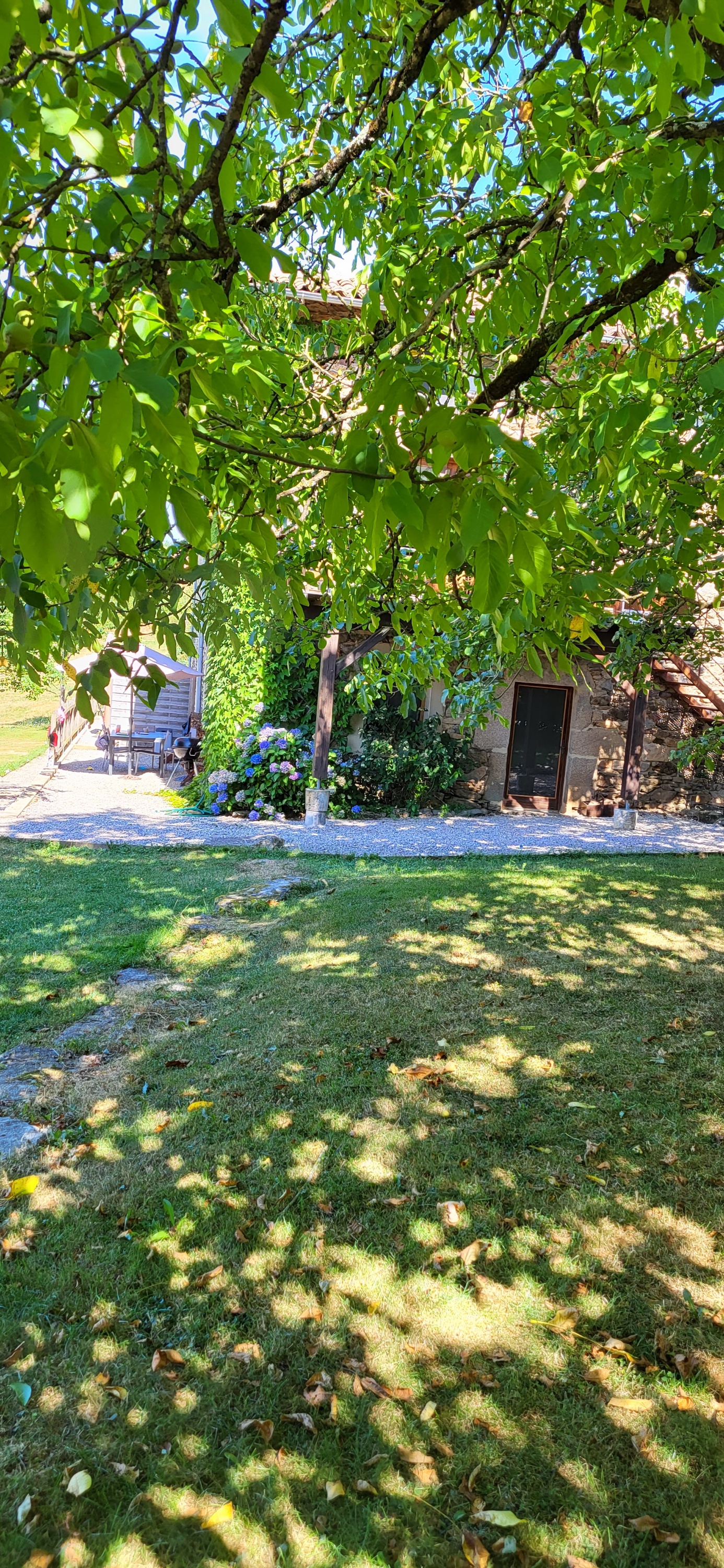 Le Noyer, Montet-et-Bouxal - photo 4