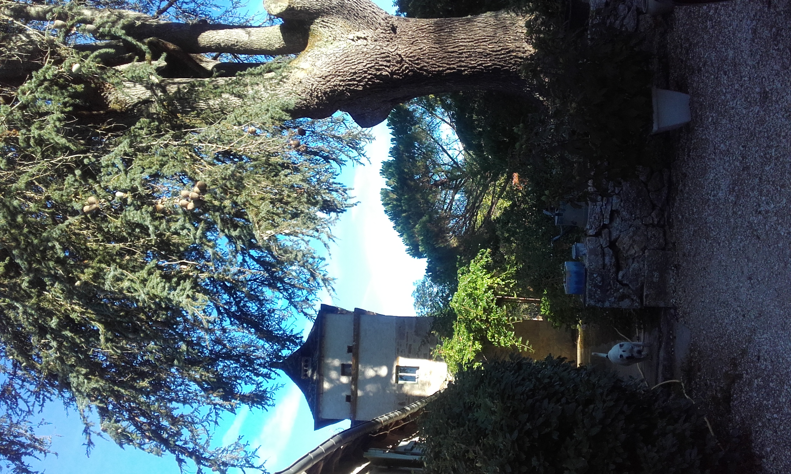 Gîte du Cèdre, Les Ecuries, Le Vignon-en-Quercy - photo 3