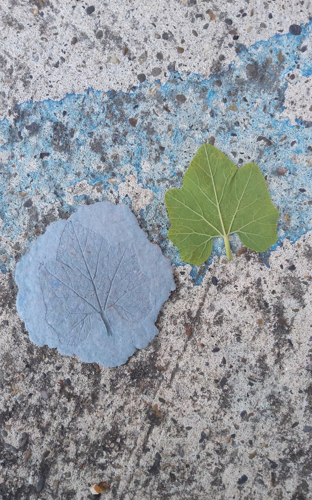 Ateliers famille à Calvignac: Fabrication de papier recyclé avec empreintes végétales