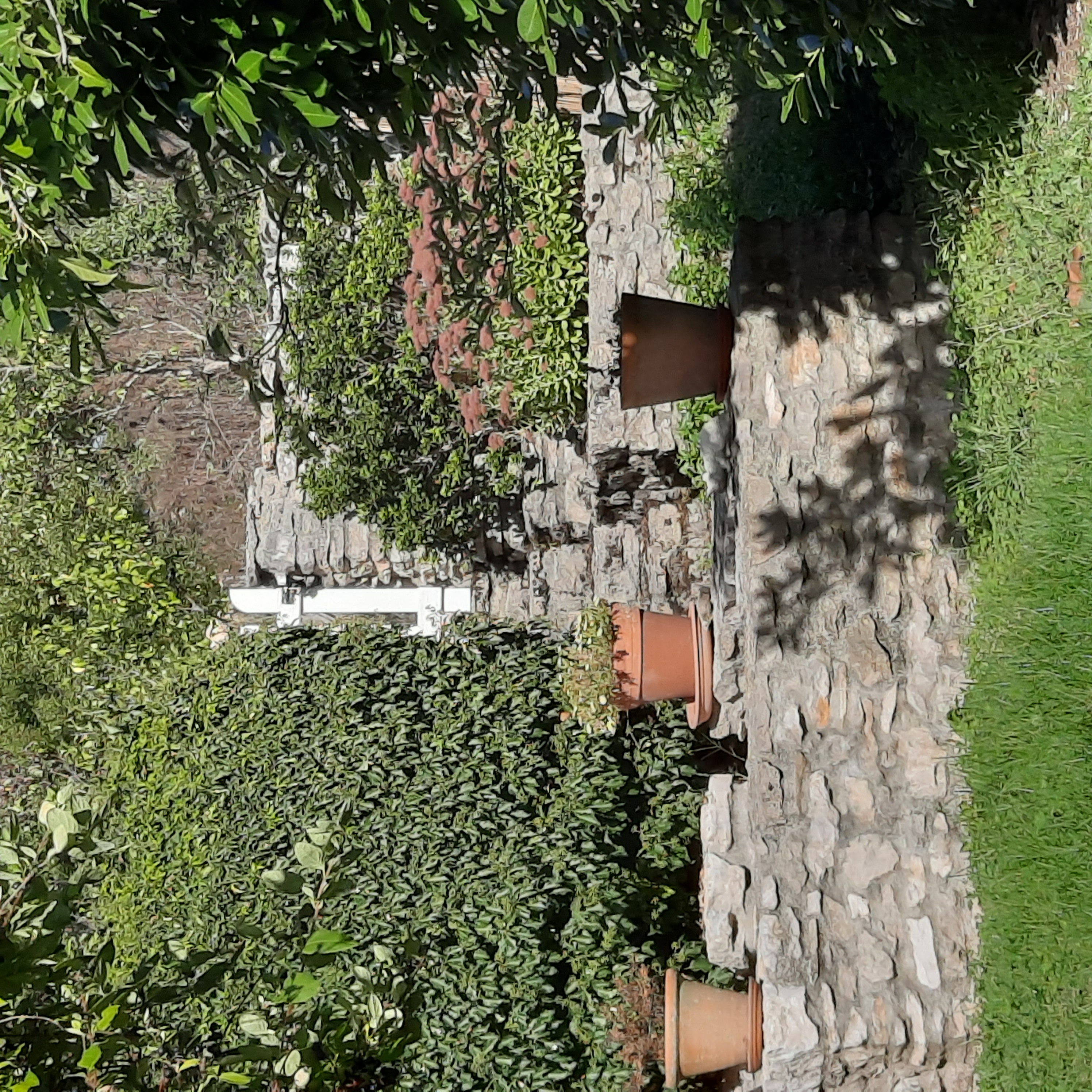 Pérégrine, Montvalent - photo 7