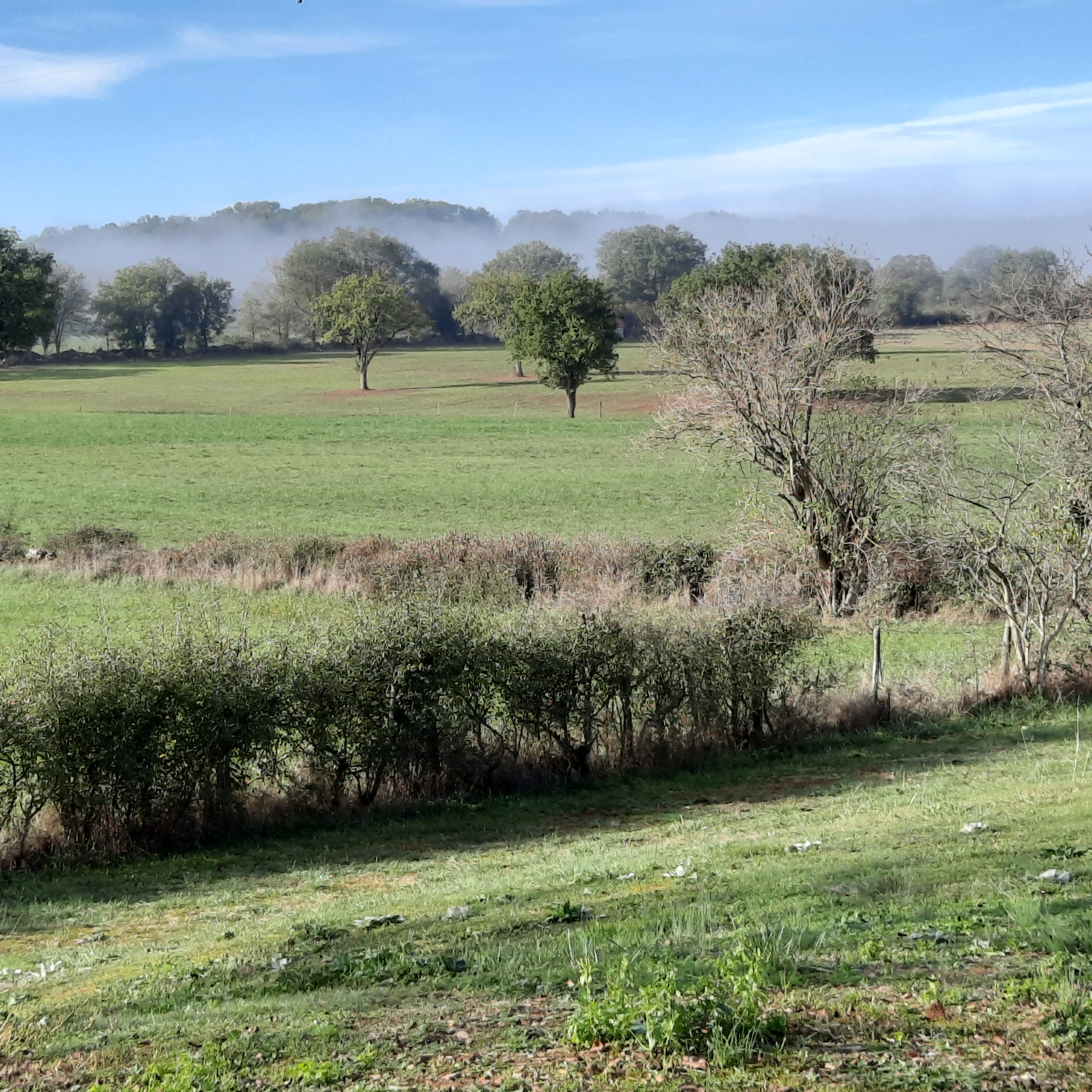 Pérégrine, Montvalent - photo 8
