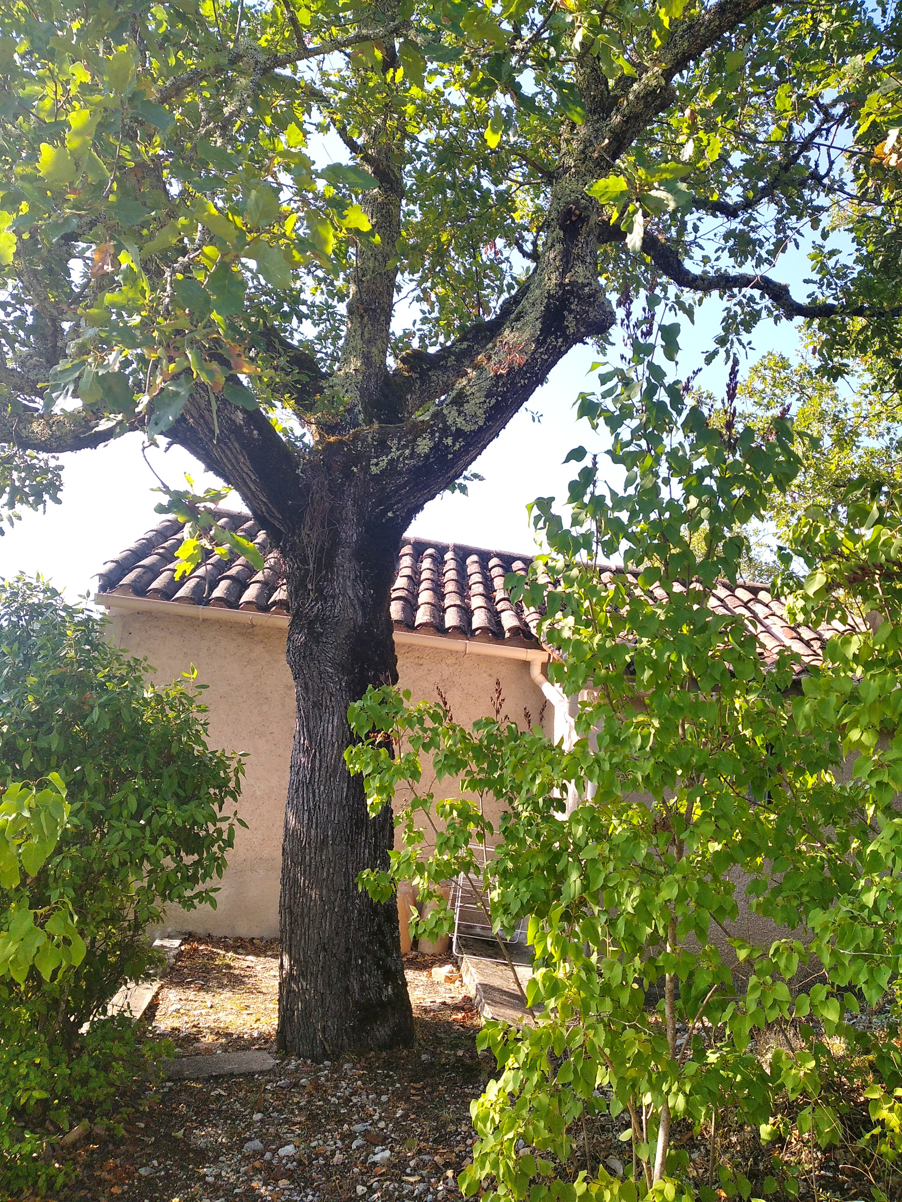 Cabanon dans la Colline, Cahors - photo 5