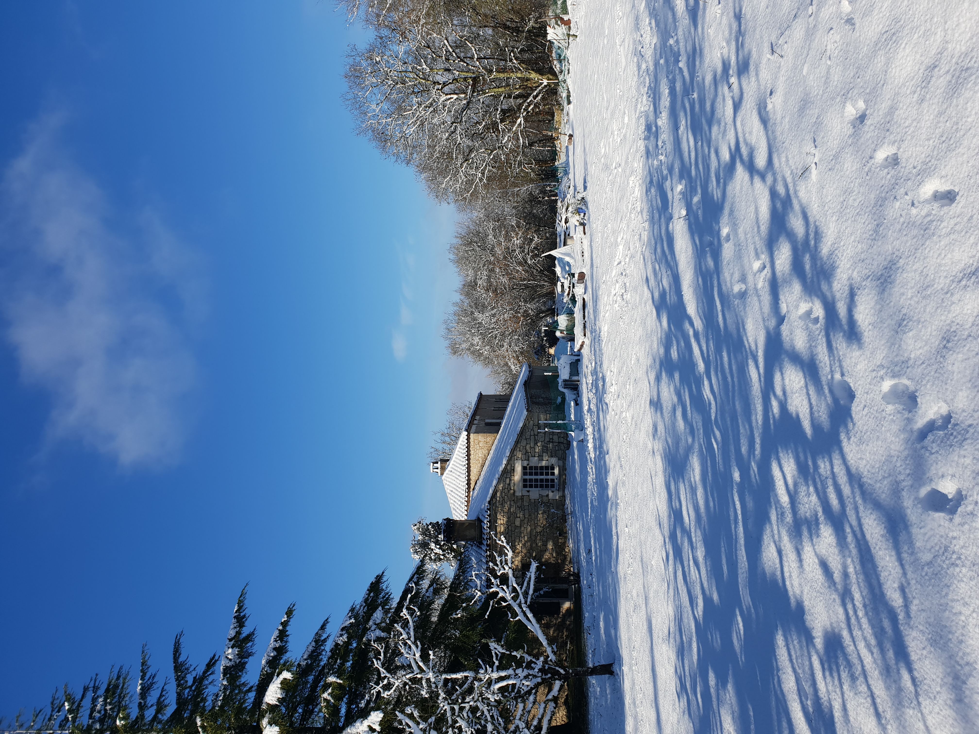 Rusty Shears, Lacapelle-Cabanac - photo 6
