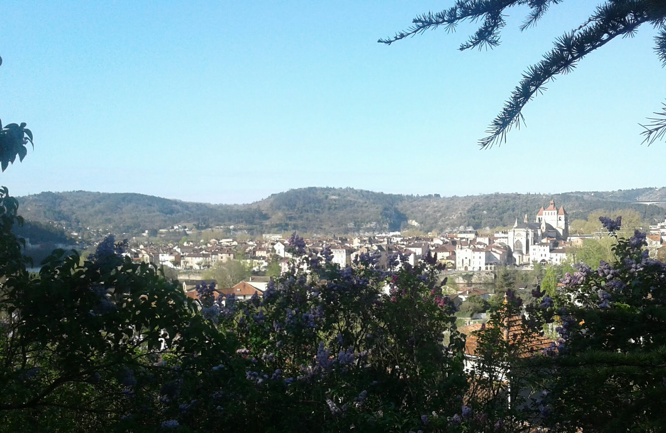 Le Petit Refuge — photo 3