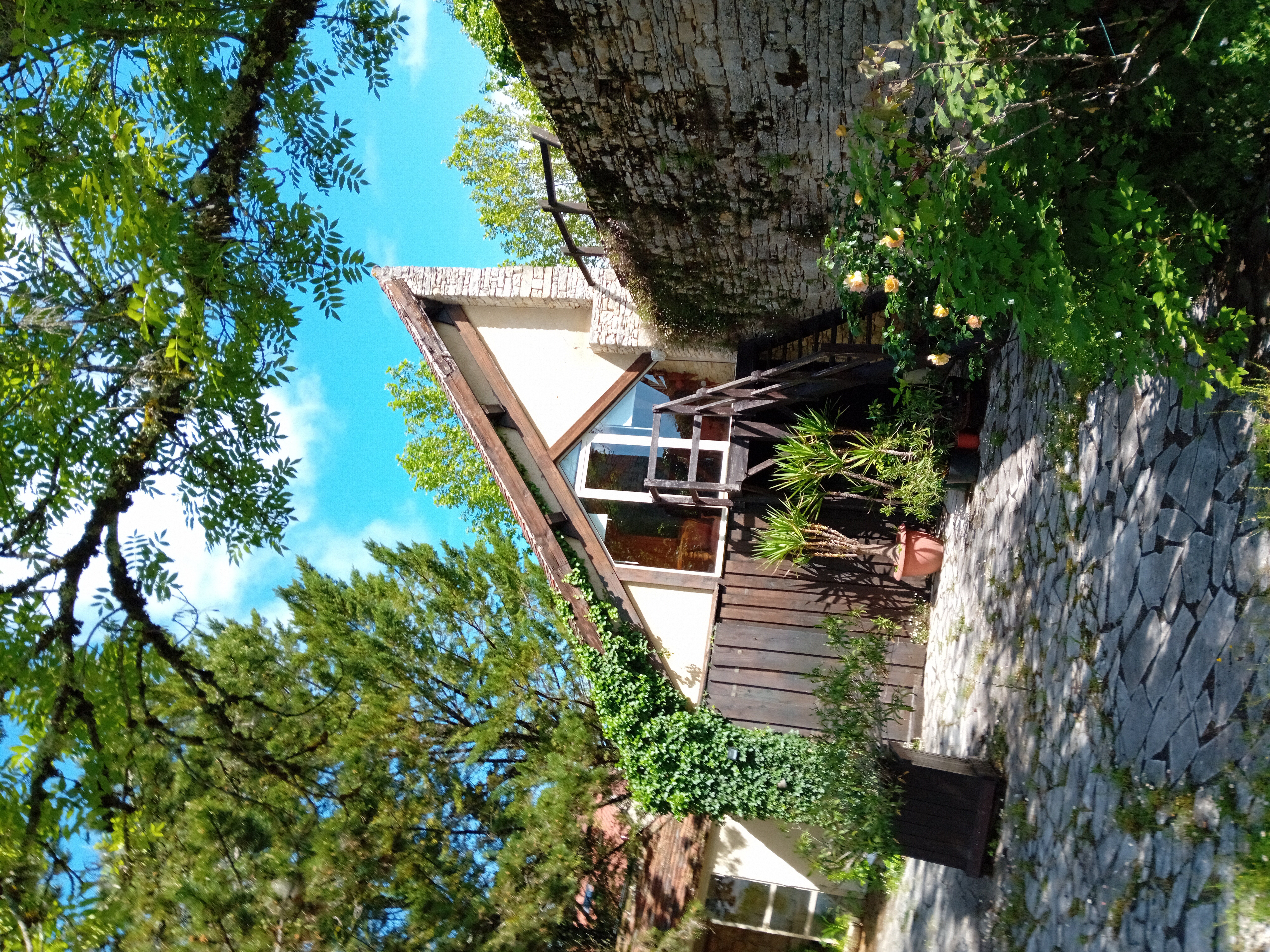 L'Orangerie, Uzech - photo 2