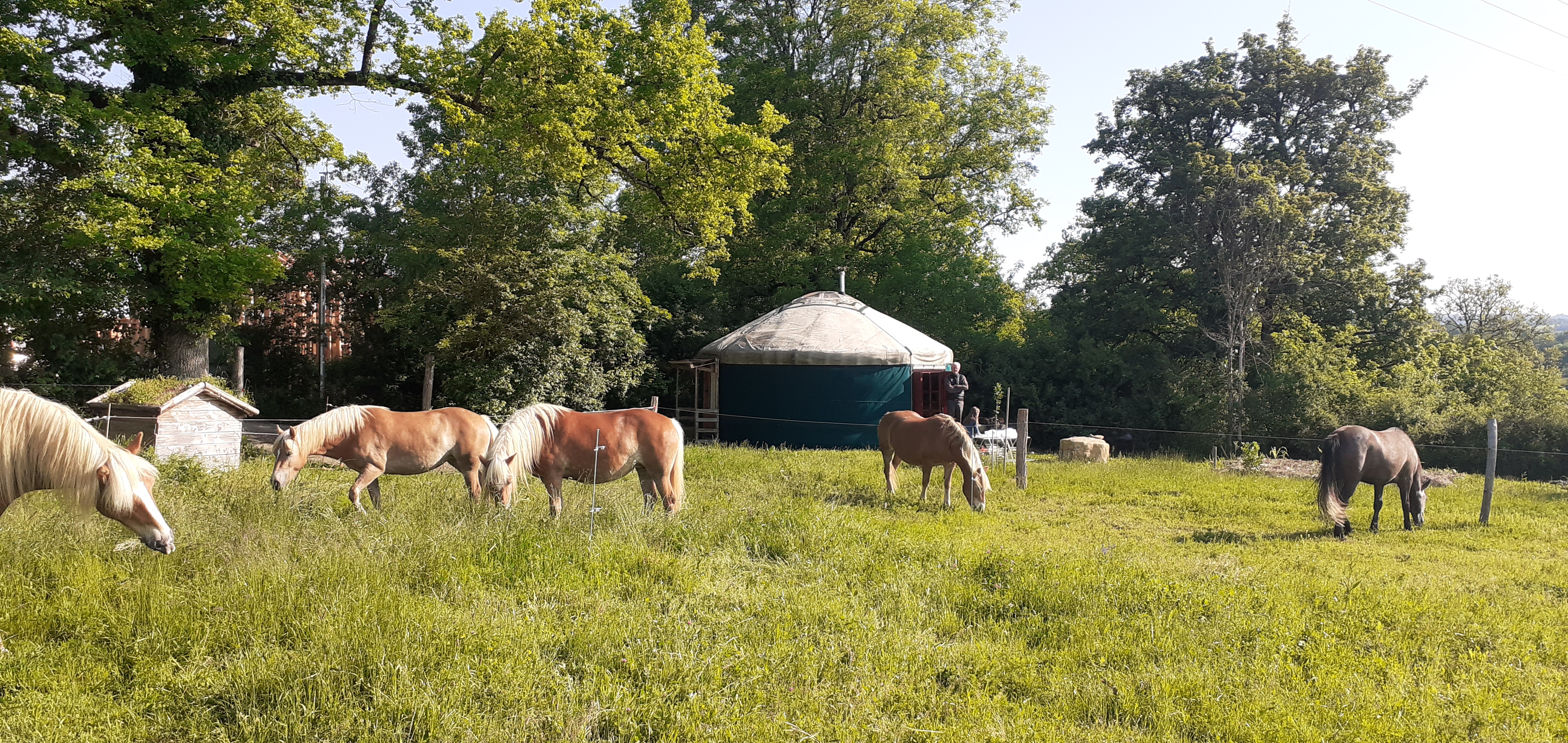 Yourte de la Jumenterie du Pech Blanc, Théminettes - photo 5