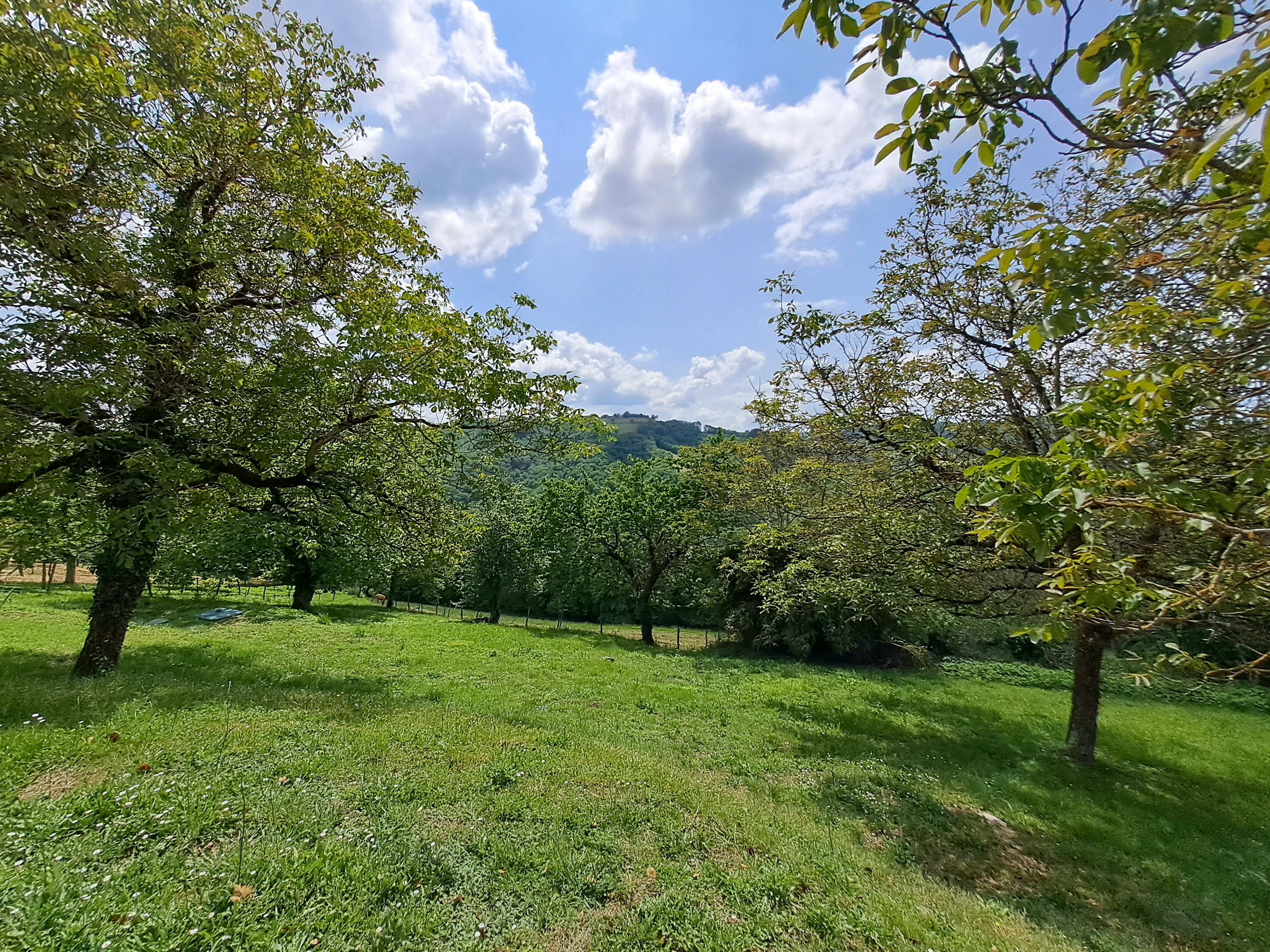 Domaine du Clos Many - Maison Counord, Latouille-Lentillac - photo 9