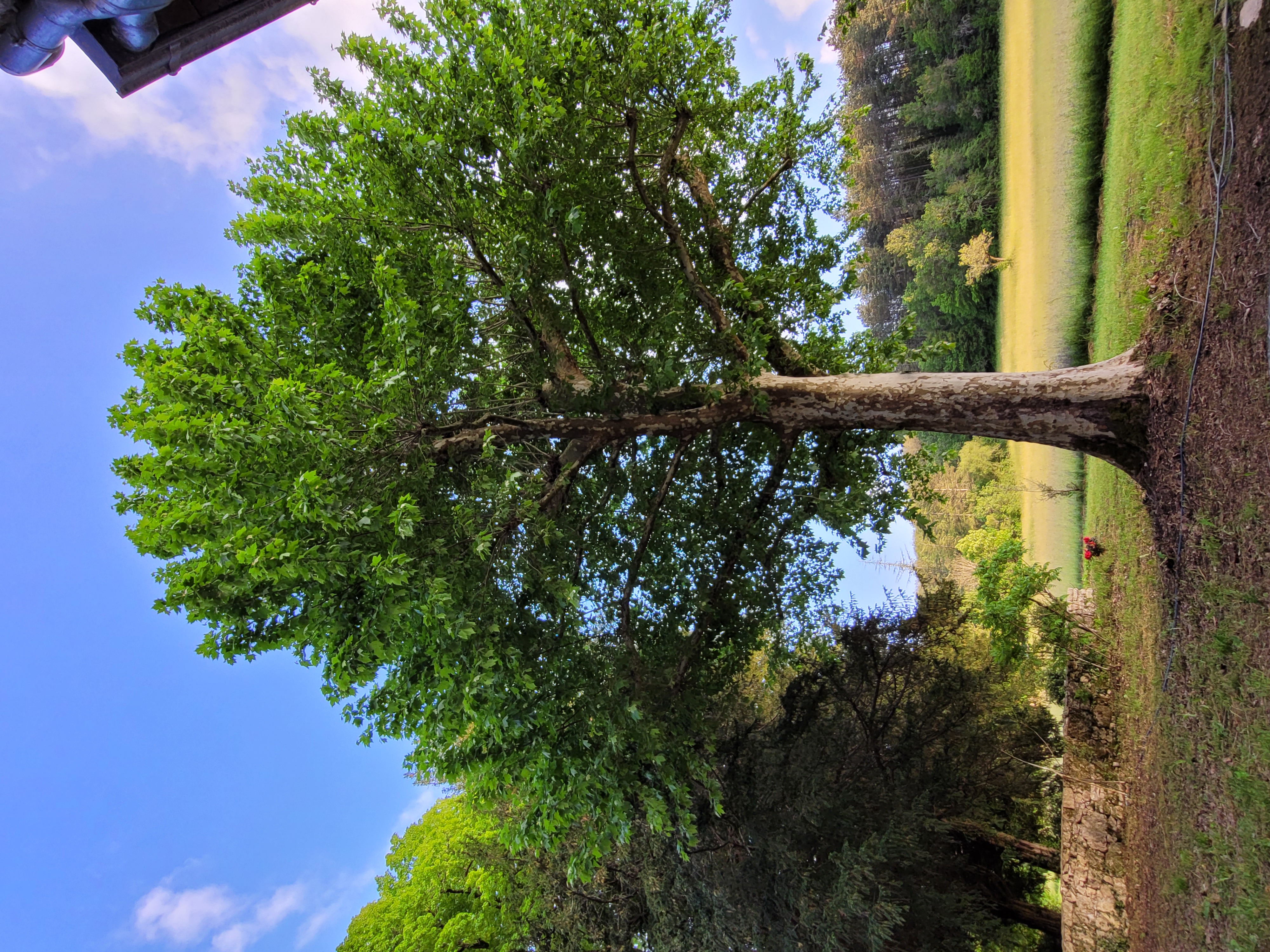 Domaine de Fénayrol