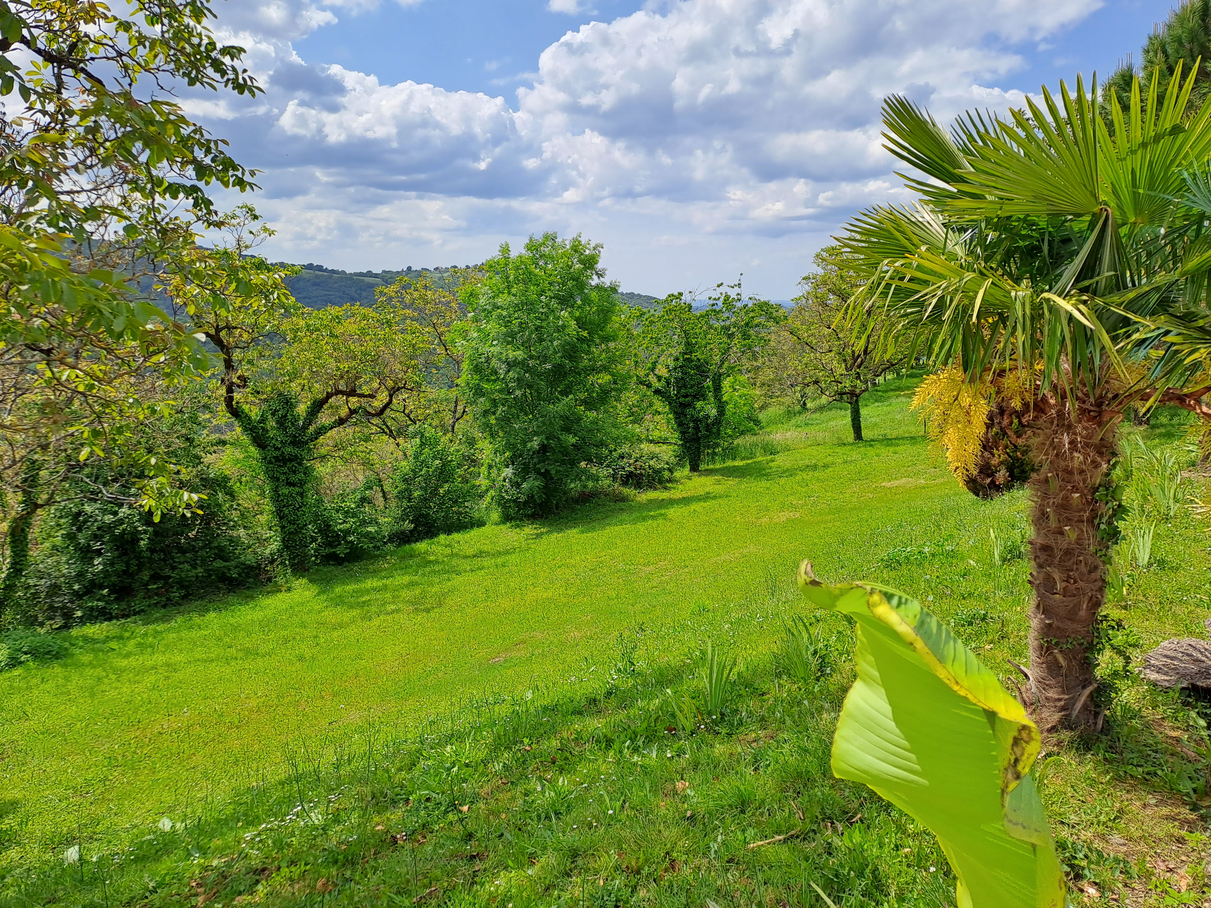 Domaine du Clos Many - Maison Counord, Latouille-Lentillac - photo 12