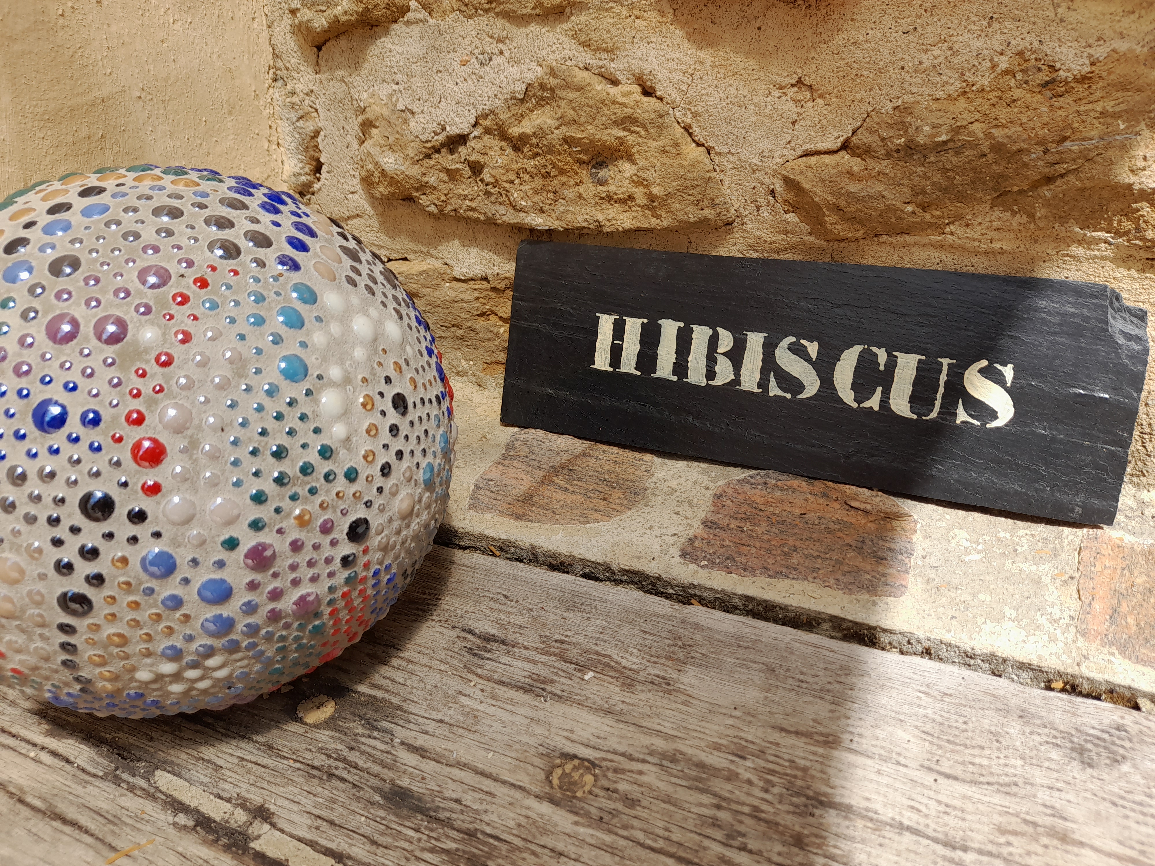 Les Gîtes Cambois - Hibiscus